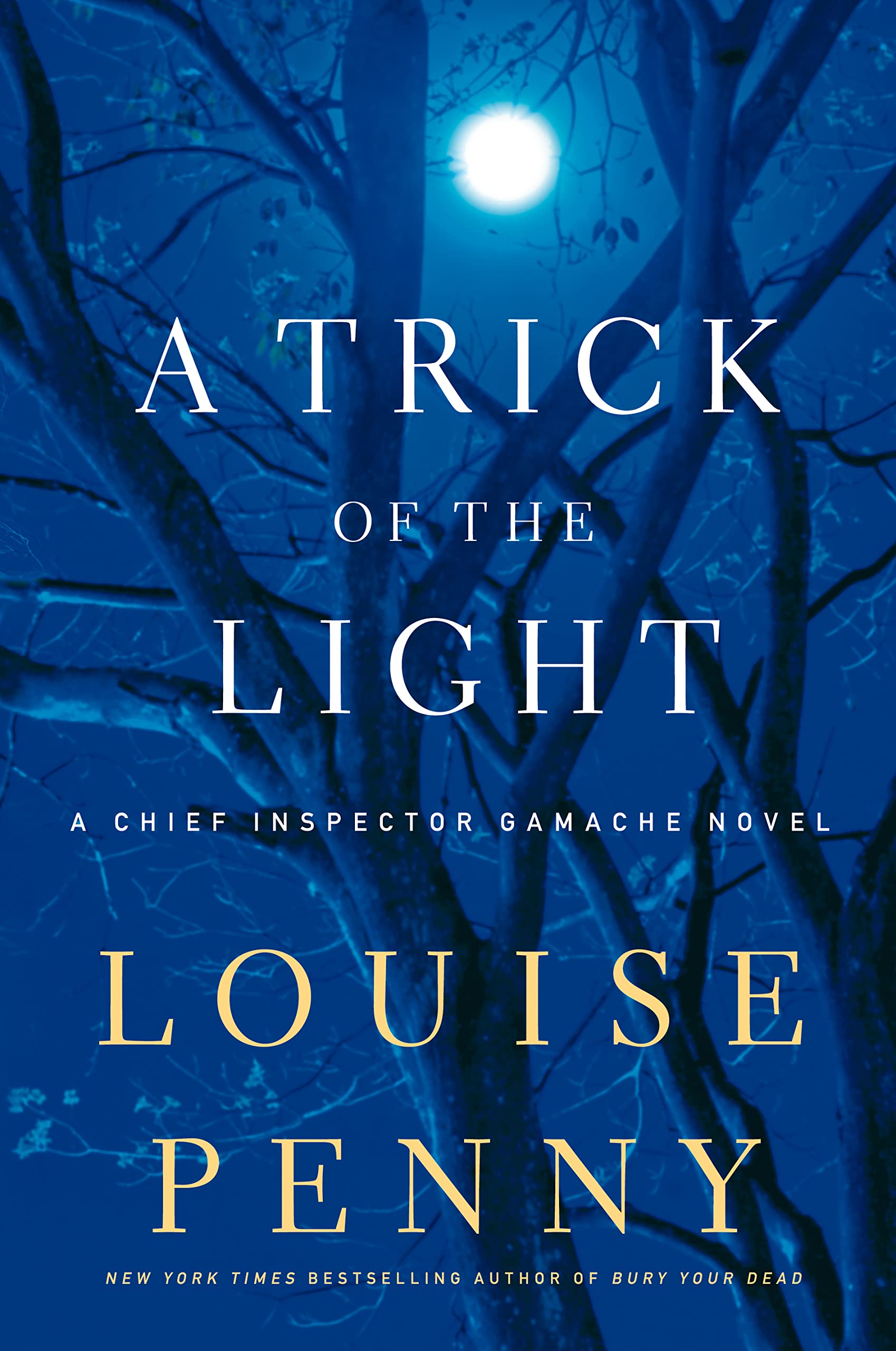 A Trick of the Light (Chief Inspector Gamache: Thorndike Press Large Print Mystery) Contemporary literature