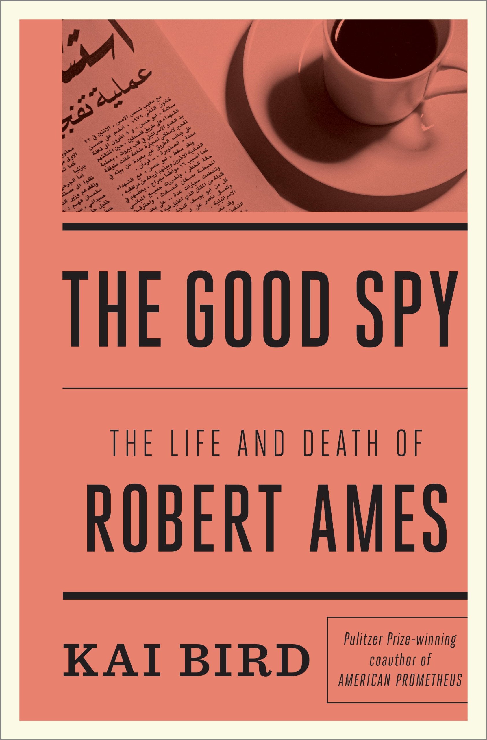 The Good Spy: The Life and Death of Robert Ames (Thorndike Press Large Print Nonfiction) Politics & History