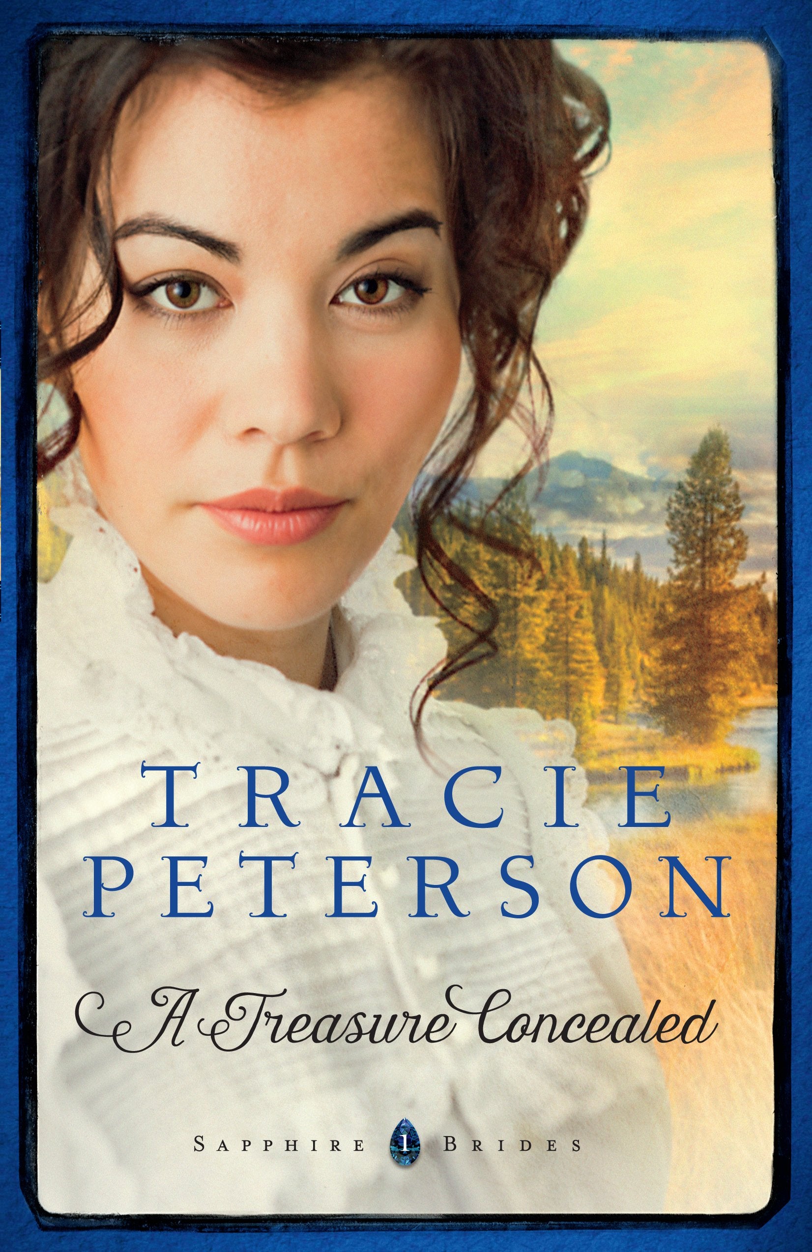 A Treasure Concealed (Thorndike Press large print Christian romance: Sapphire Brides, Band 1) Religion & Esotericism