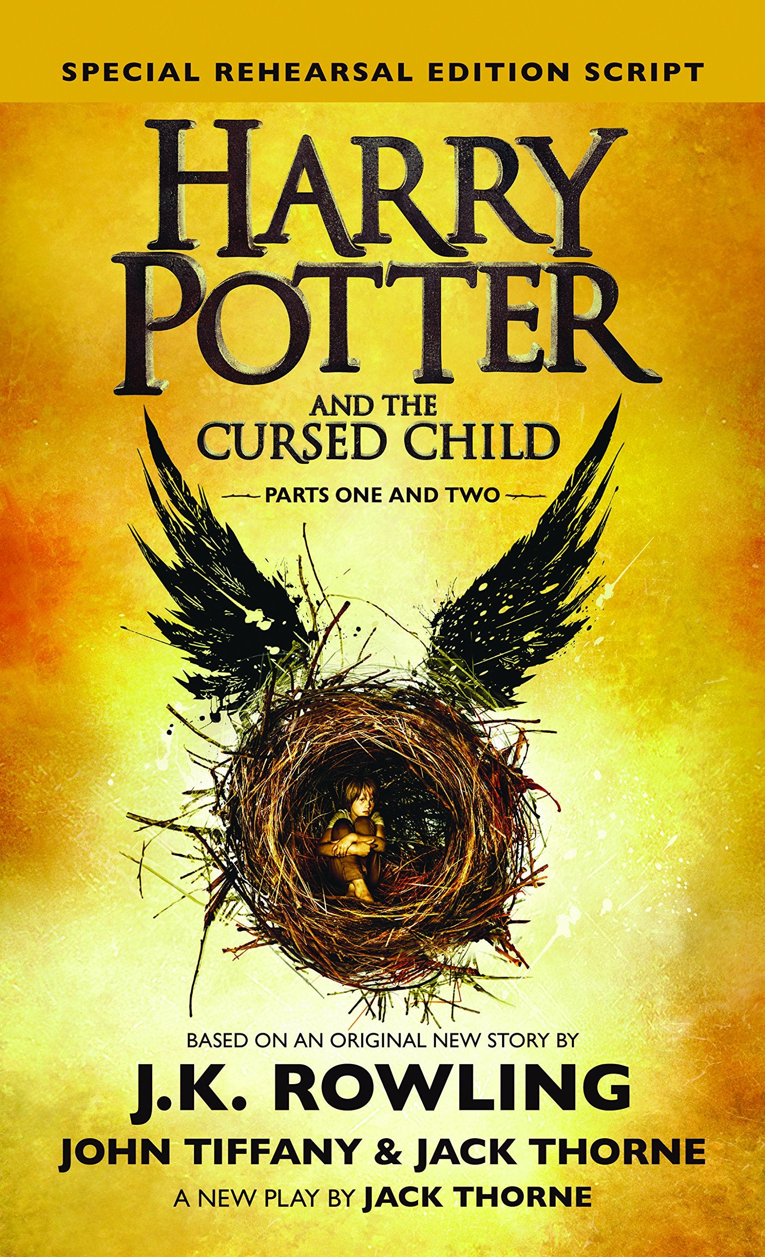 Harry Potter and the Cursed Child: Parts 1 & 2, Special Rehearsal Edition Script (Thorndike Press Large Print Literacy Bridge Series) Novels & Short Stories
