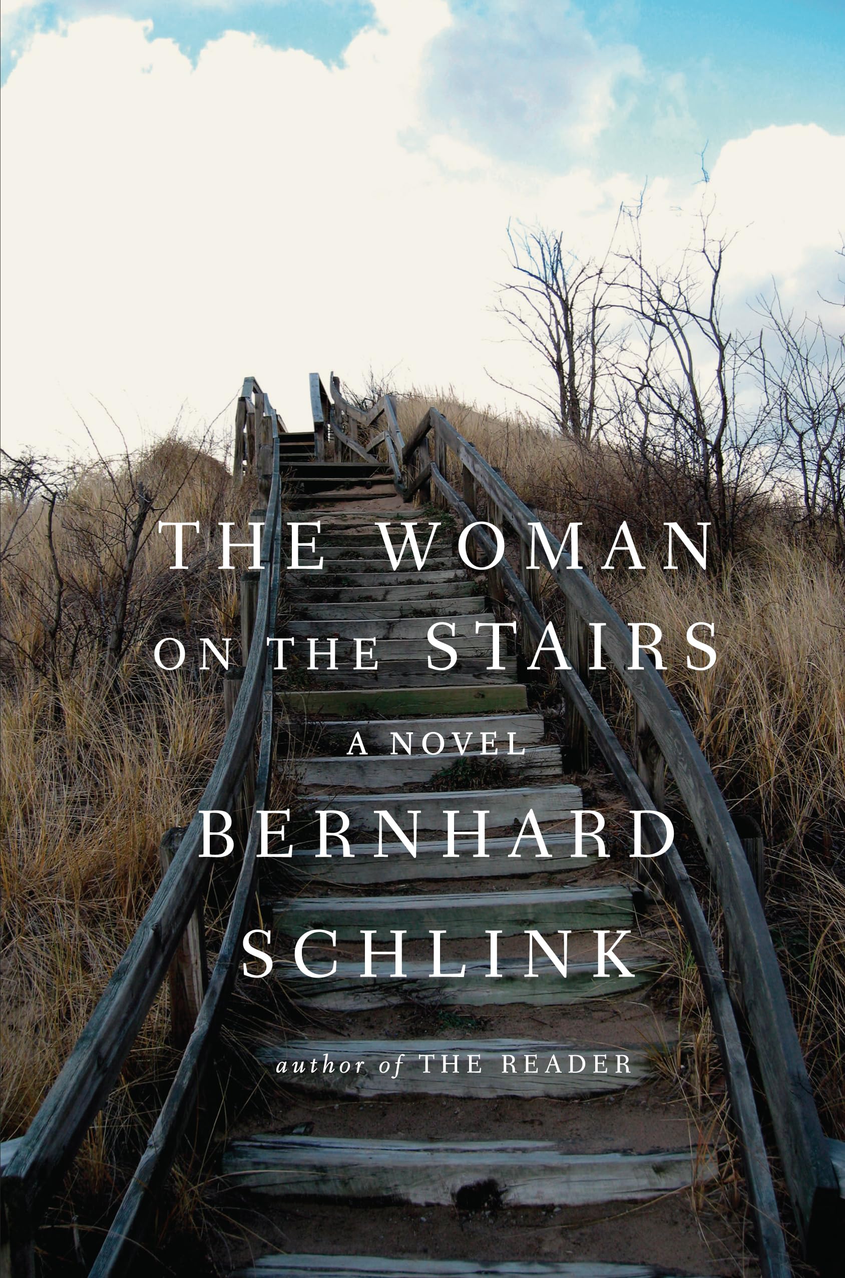 The Woman on the Stairs (Thorndike Press Large Print Core) Contemporary literature