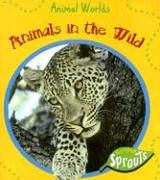 Animals In The Wild (Animal Worlds) Non-fiction