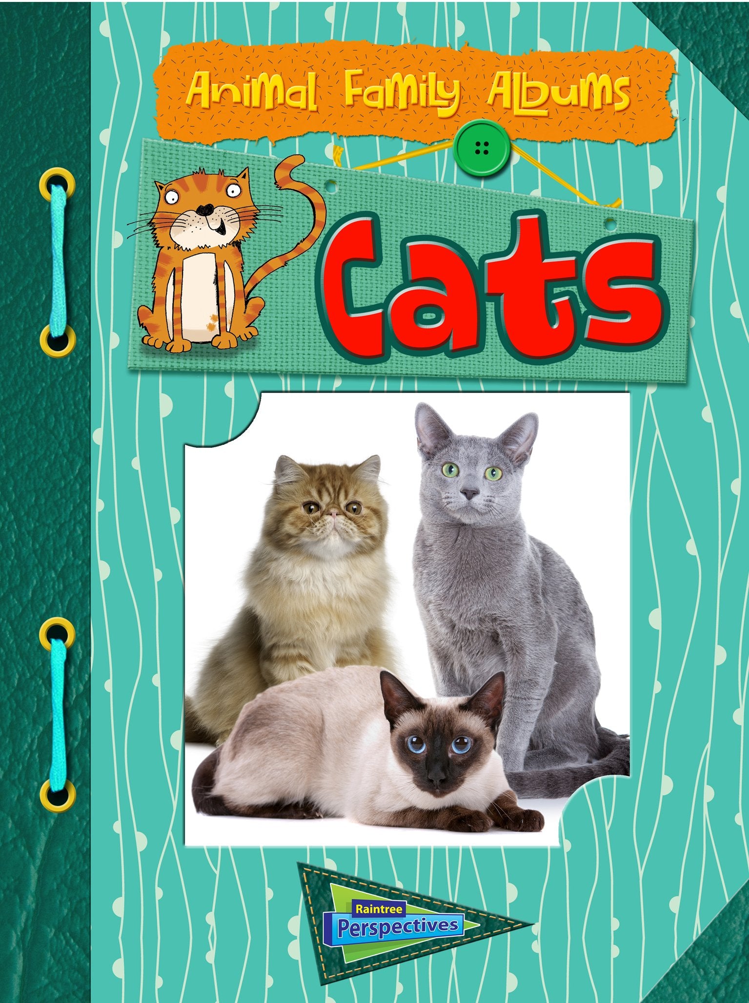 Cats: Animal Family Albums Non-fiction