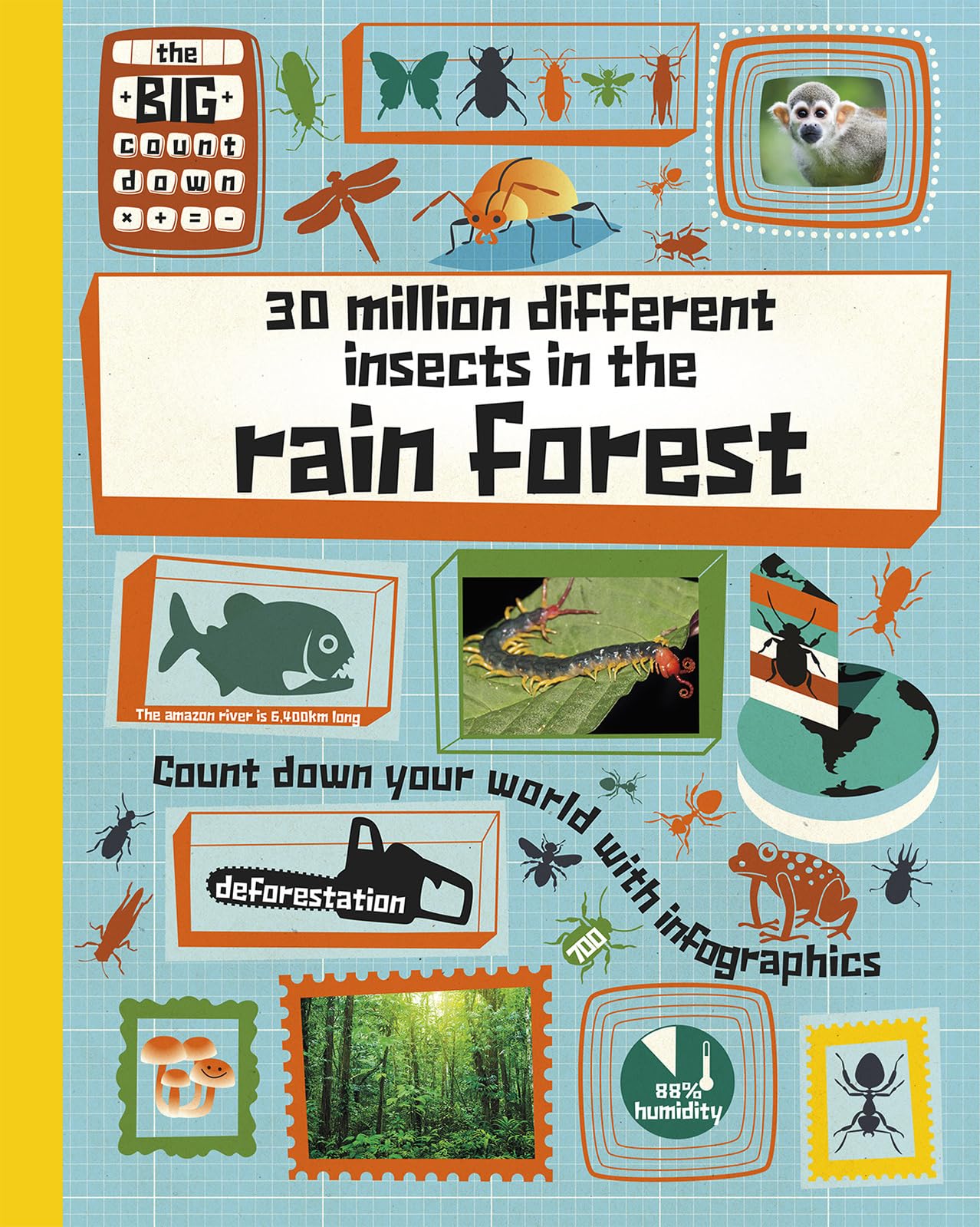 30 Million Different Insects in the Rainforest Non-fiction