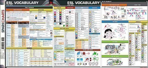 Product Image: ESL-EFL Vocabulary SparkCharts