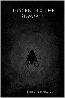 Descent to the Summit Contemporary literature