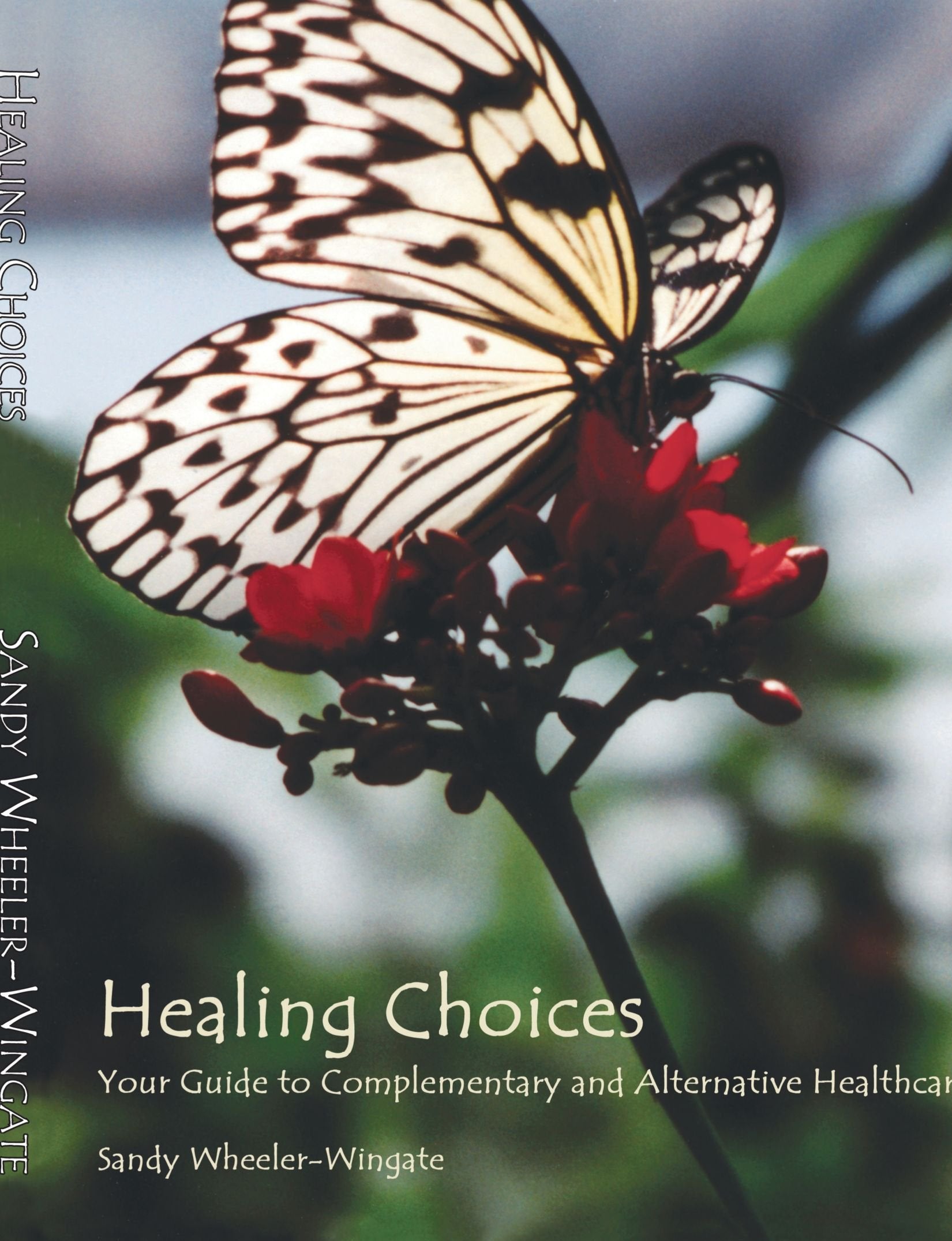Healing Choices: Your Guide to Complementary and Alternative Healthcare Health, Nutrition & Fitness