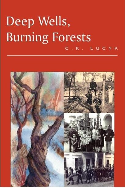 Product Image: Deep Wells, Burning Forests