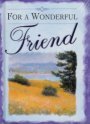 For A Wonderful Friend Books