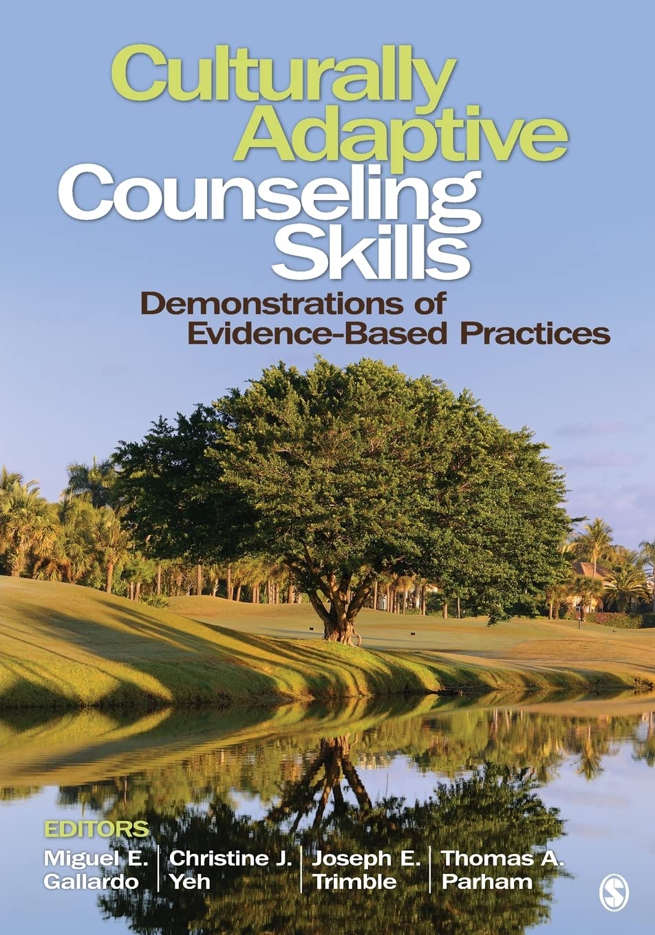 Culturally Adaptive Counseling Skills: Demonstrations of Evidence-Based Practices Books