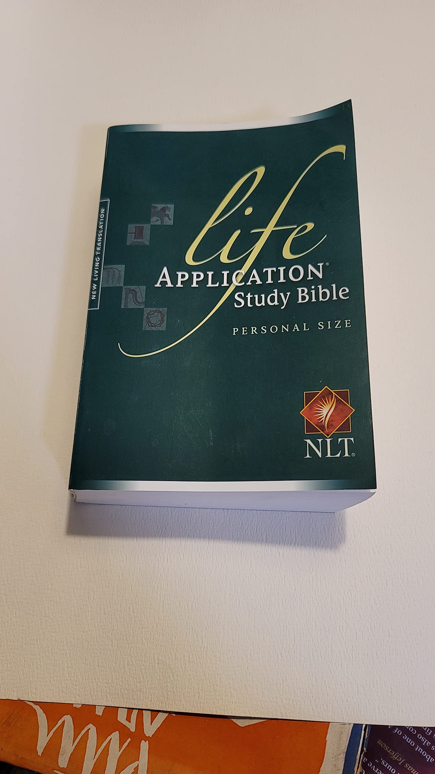 Life Application Study Bible Religion & Esotericism