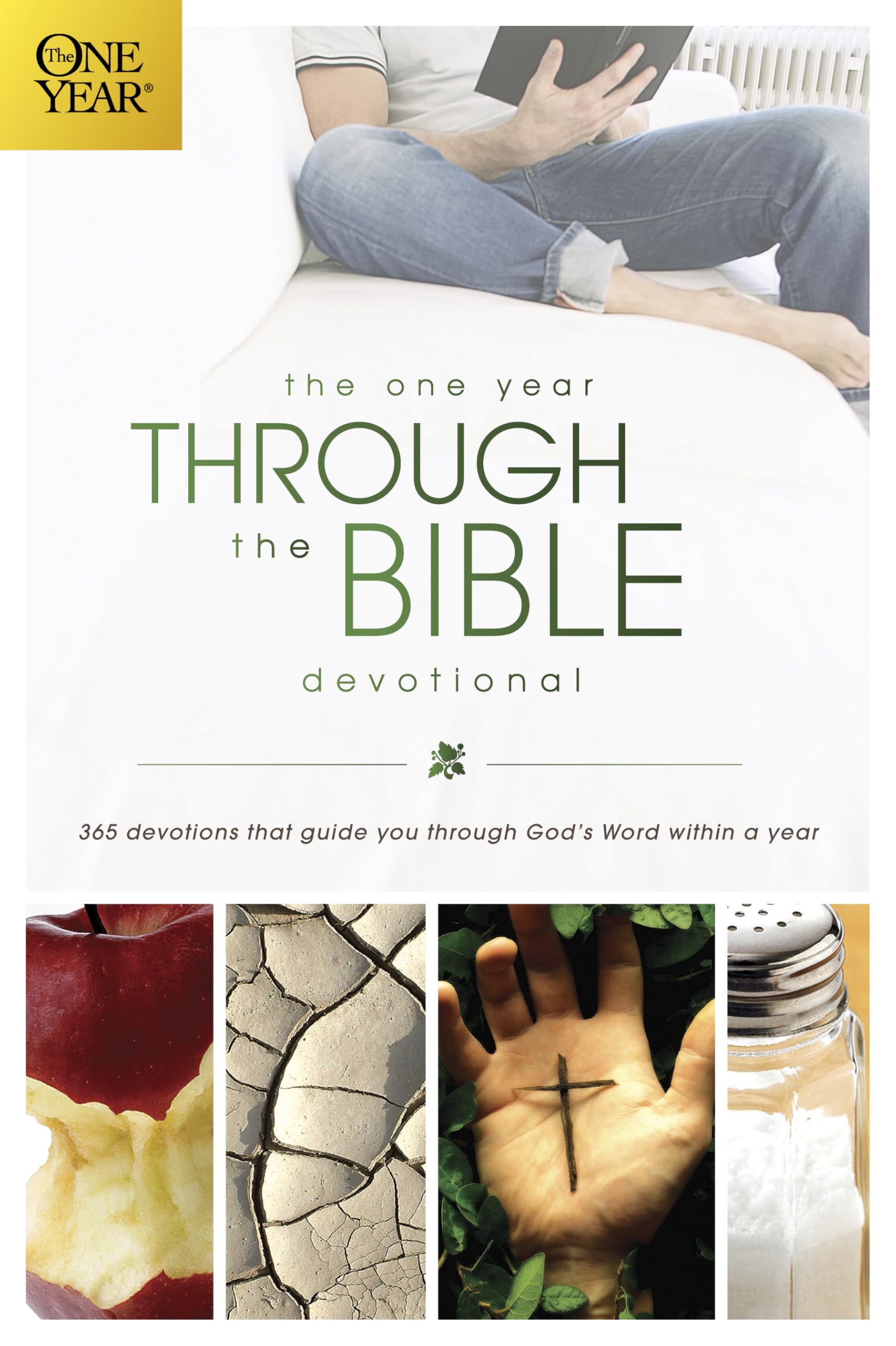 One Year Through the Bible Devotional Religion & Esotericism