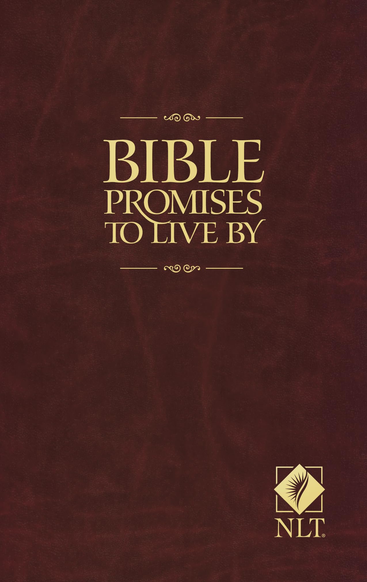 Product Image: Bible Promises to Live by