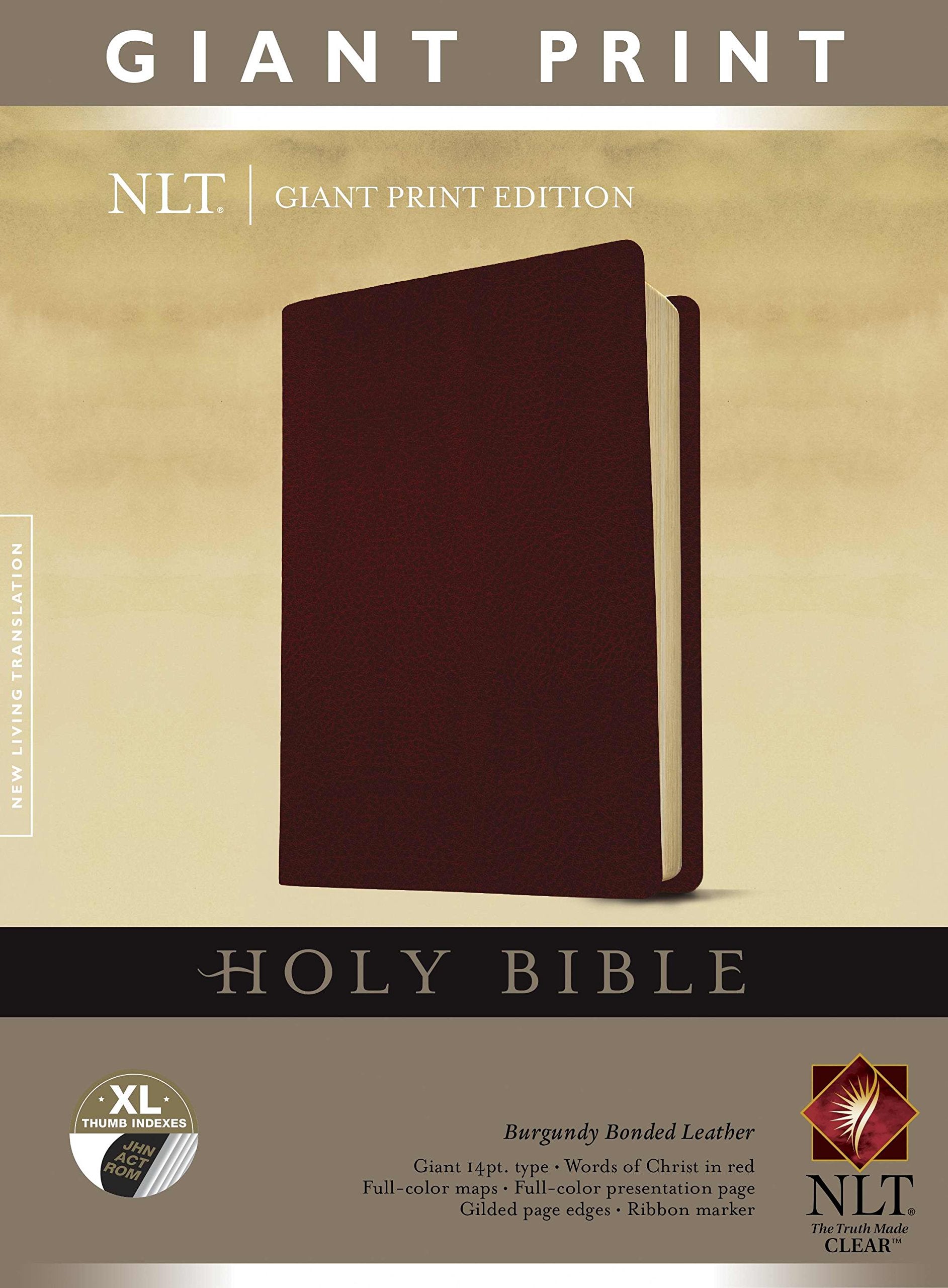 Holy Bible: New Living Translation, Burgundy, Giant Print, Bonded Leather, Classic Text Edition Religion & Esotericism
