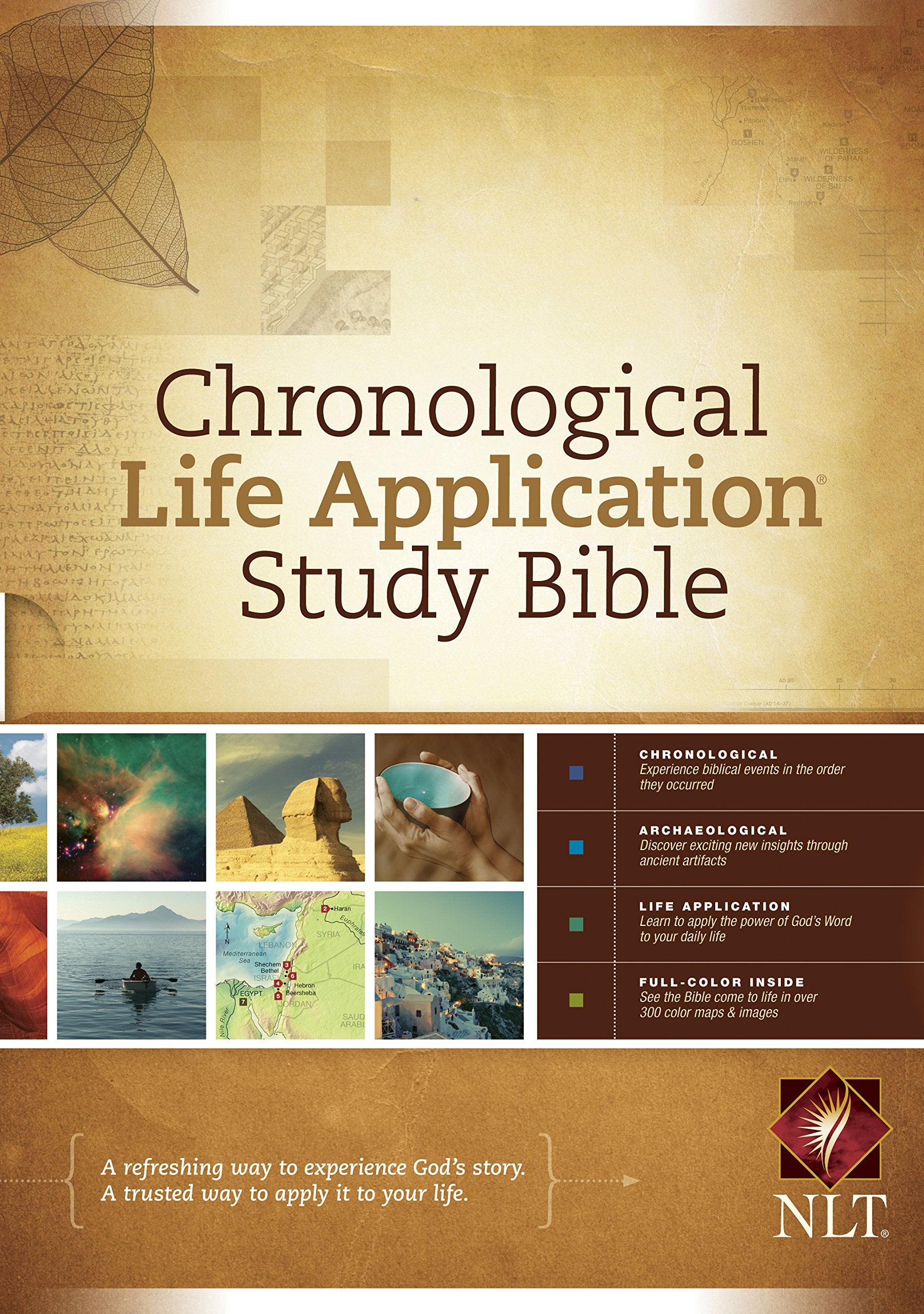 NLT Chronological Life Application Study Bible Film, Art & Culture