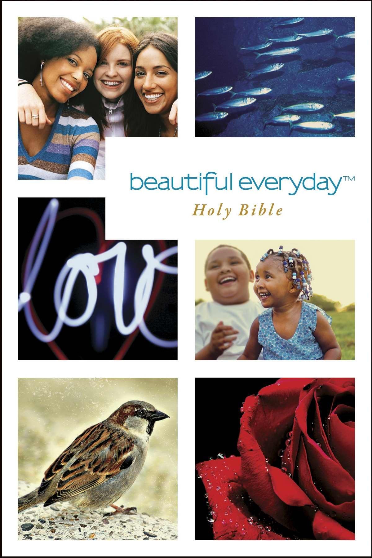 Holy Bible: New Living Translation, Beautiful Everyday Religion & Esotericism