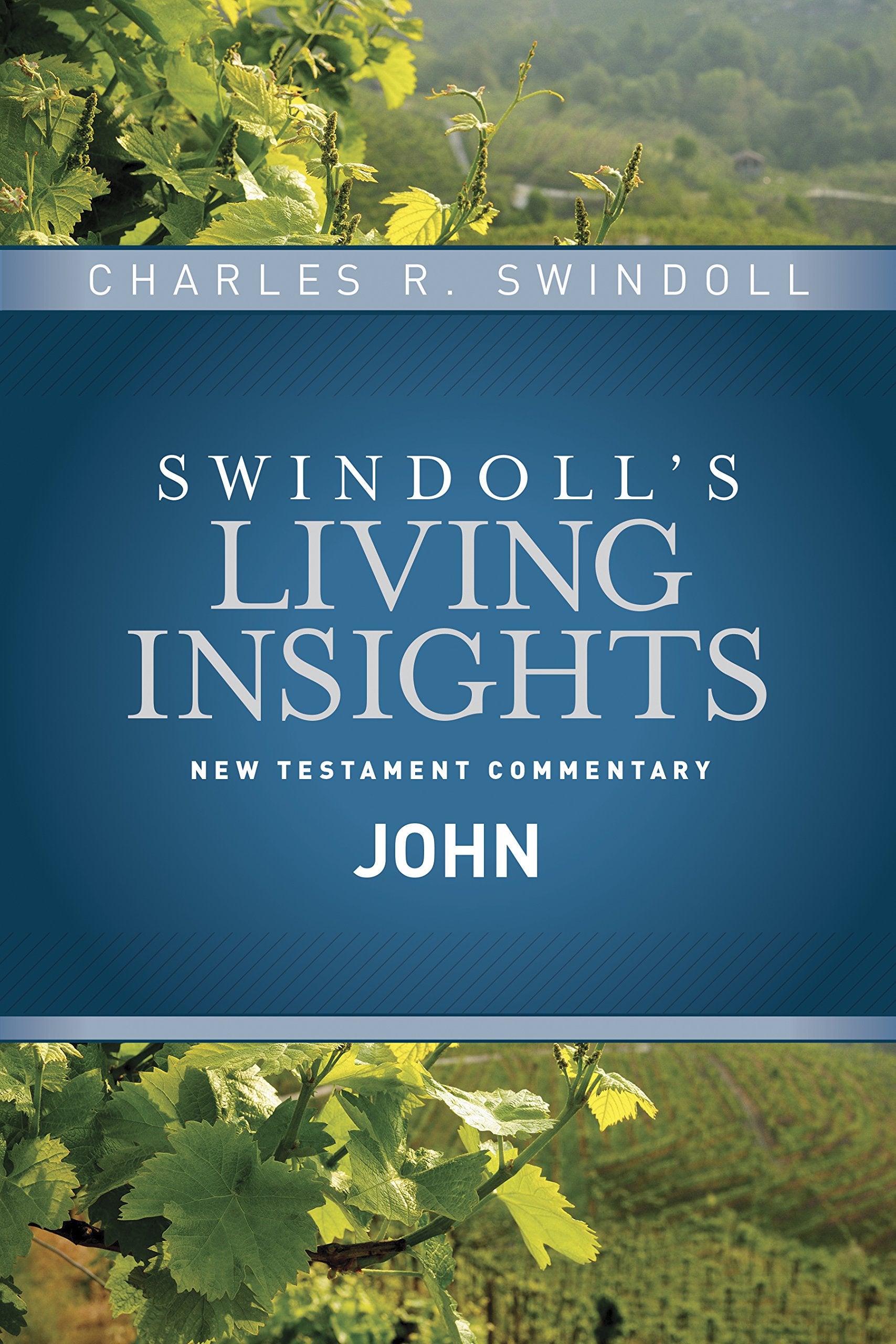 Insights on John (Swindoll's Living Insights New Testament Commentary, Band 4) Film, Art & Culture