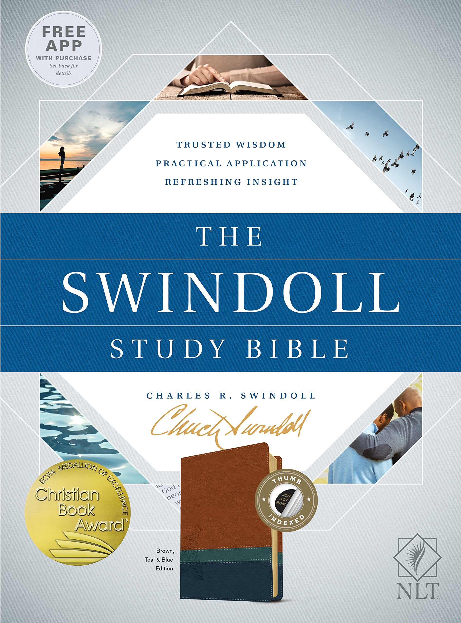 The Swindoll Study Bible NLT, Tutone: New Living Translation, Brown, Teal & Blue Edition Film, Art & Culture
