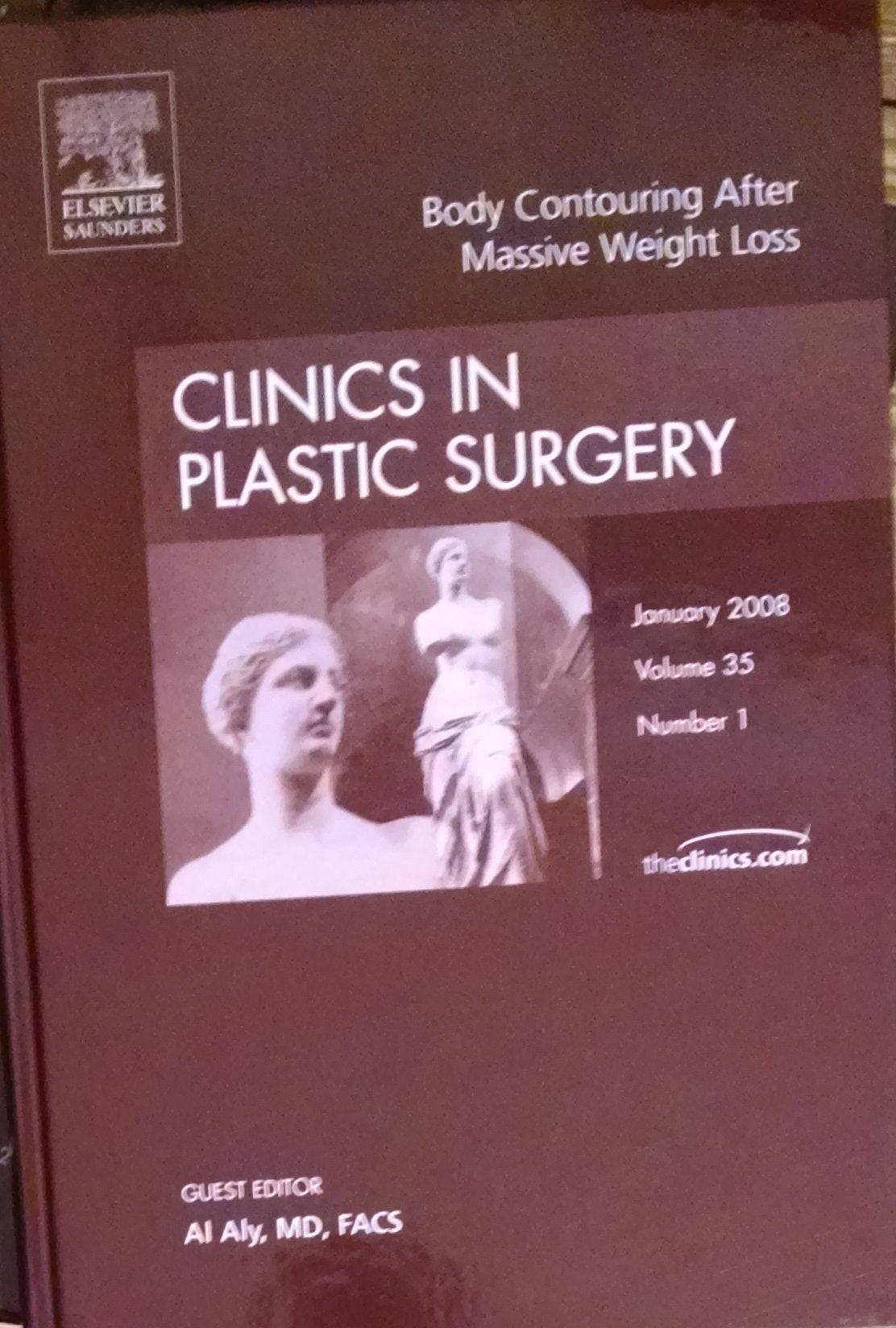 Body Contouring After Massive Weight Loss: An Issue of Clinics in Plastic Surgery Medicine