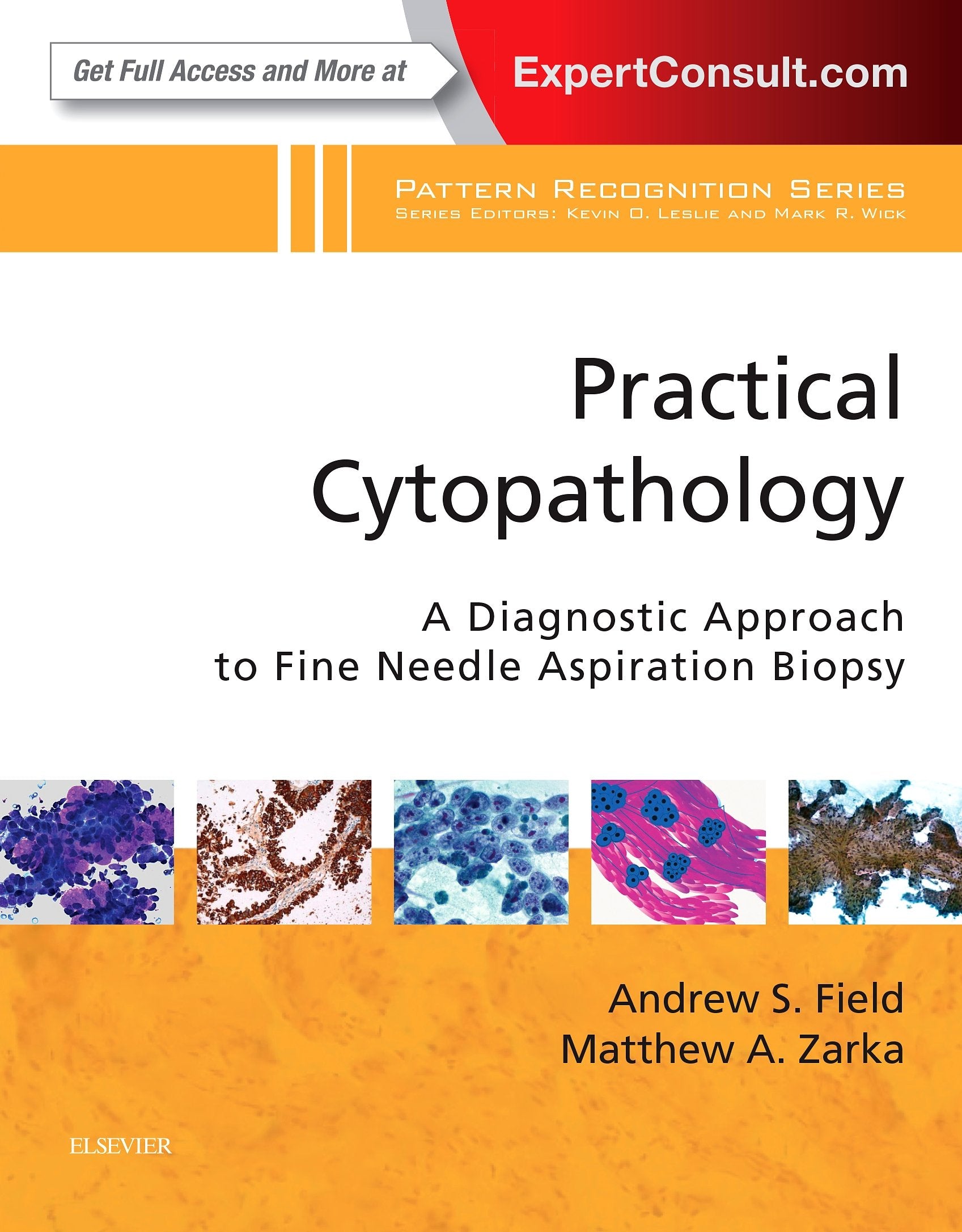 Practical Cytopathology: A Diagnostic Approach to Fine Needle Aspiration Biopsy: A Volume in the Pattern Recognition Series Medicine