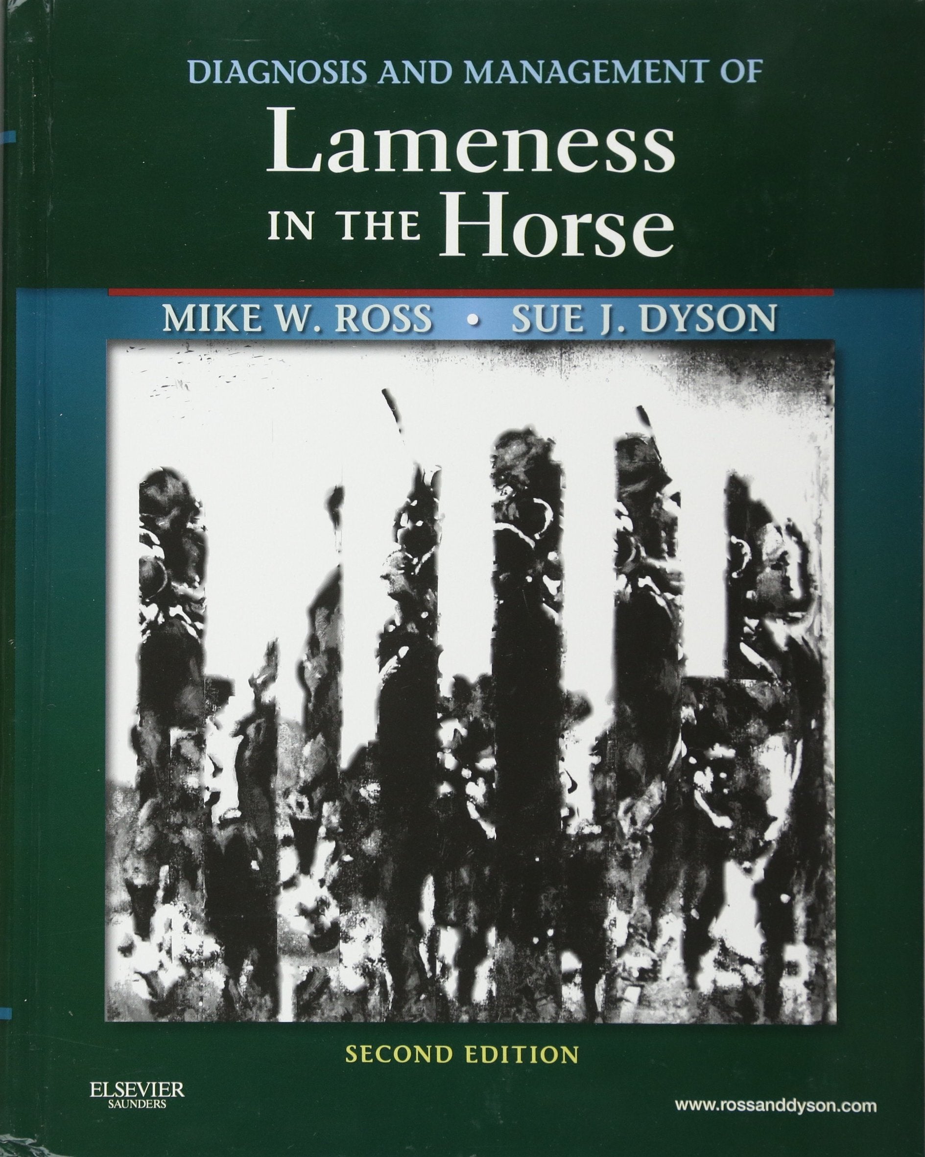 Diagnosis and Management of Lameness in the Horse Medicine