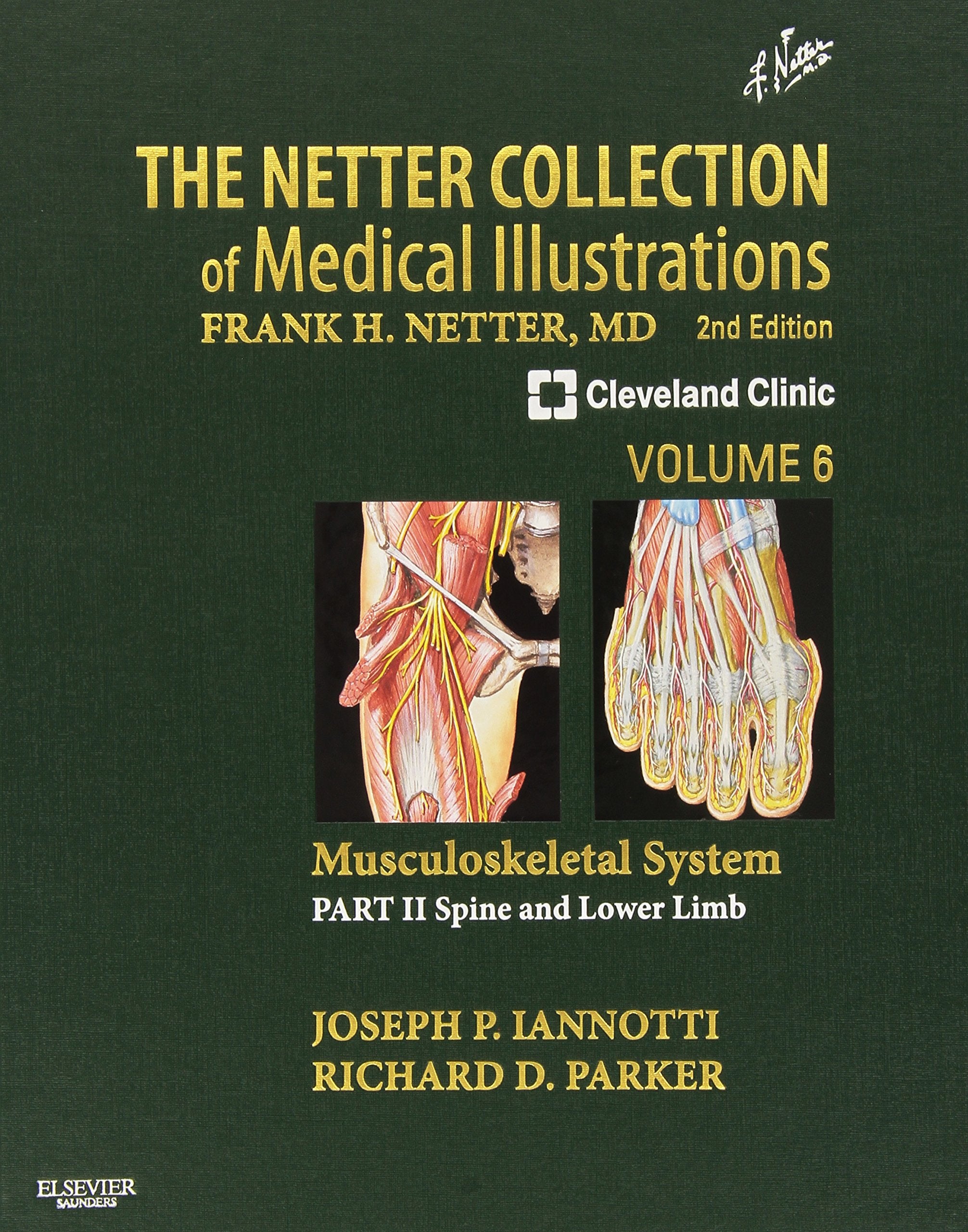 The Netter Collection of Medical Illustrations: Musculoskeletal System, Volume 6, Part II - Spine and Lower Limb: Musculoskeletal System: Spine and Lower Limb (Netter Green Book Collection, Band 6) Medicine