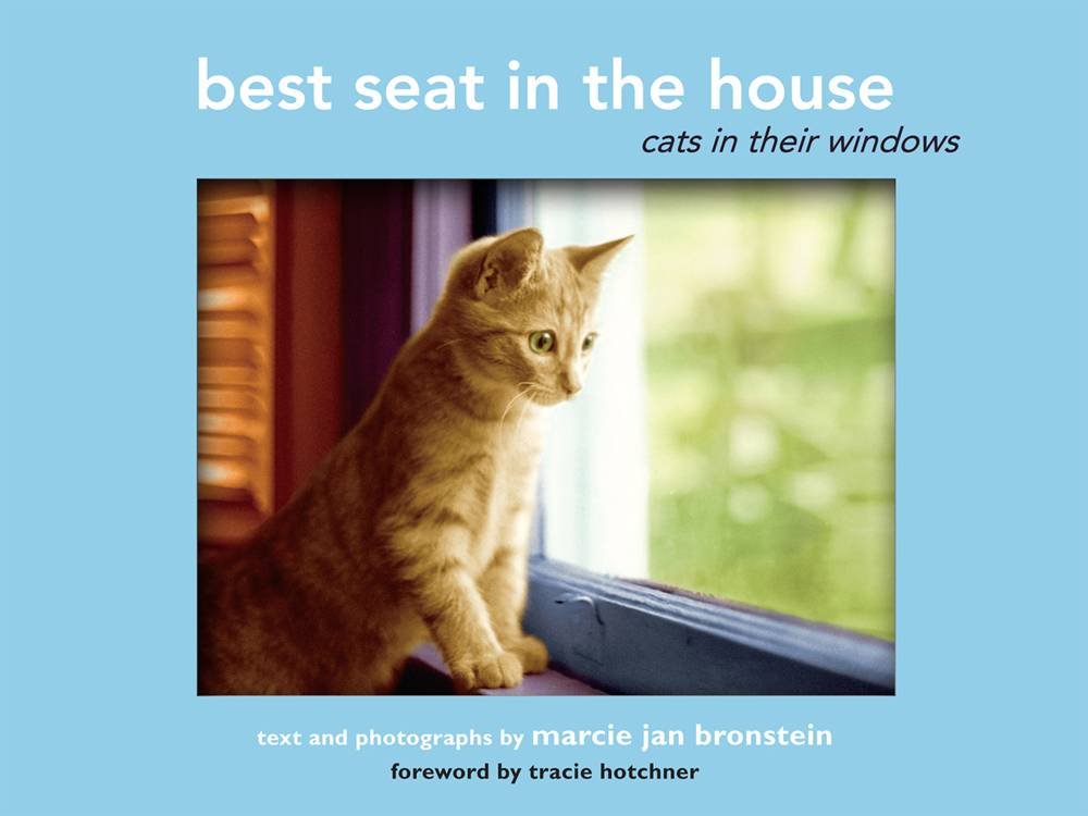 Best Seat in the House: Cats in Their Windows Nature & Animals