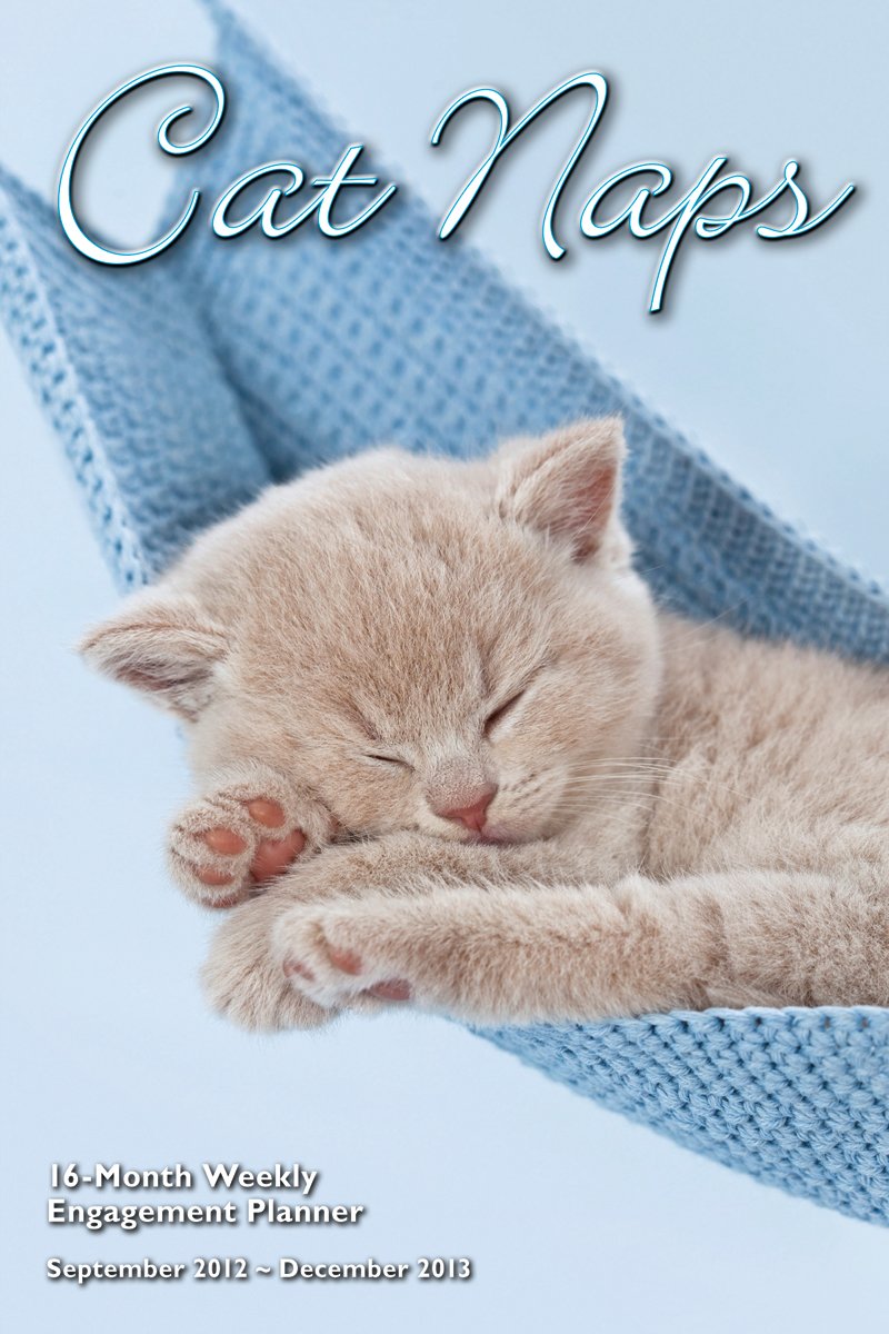 Cat Naps Weekly Planner September 2012 - December 2013 Calendar Pets