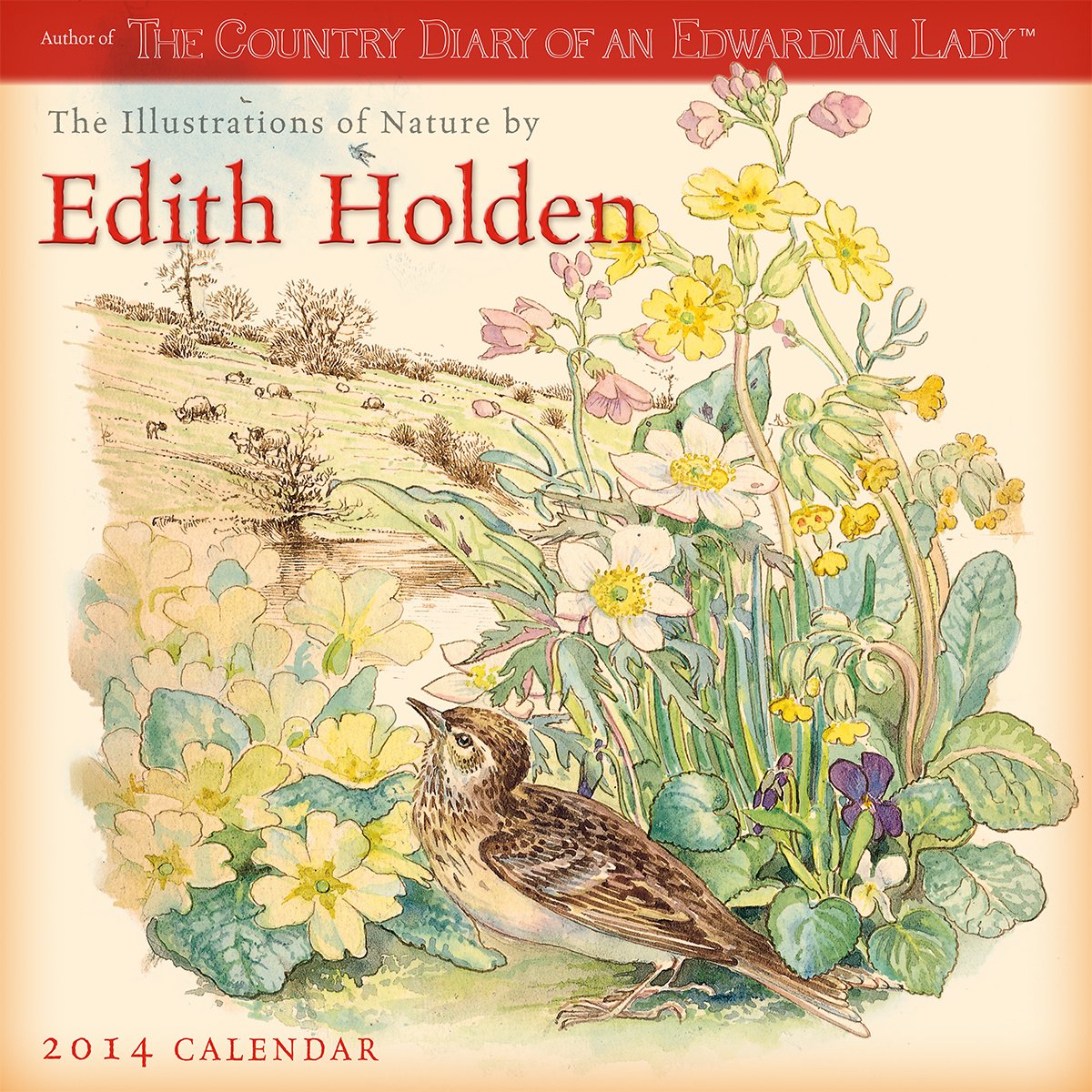 Illustrations of Nature by Edith Holden 2014 Calendar Books