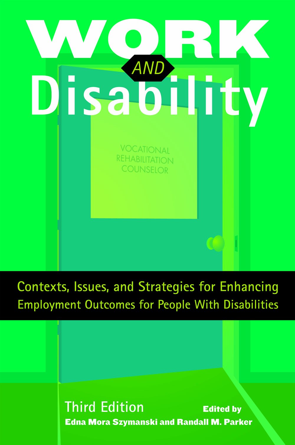 Work and Disability: Contexts, Issues, and Strategies for Enhancing Employment Outcomes for People With Disabilities Social Sciences