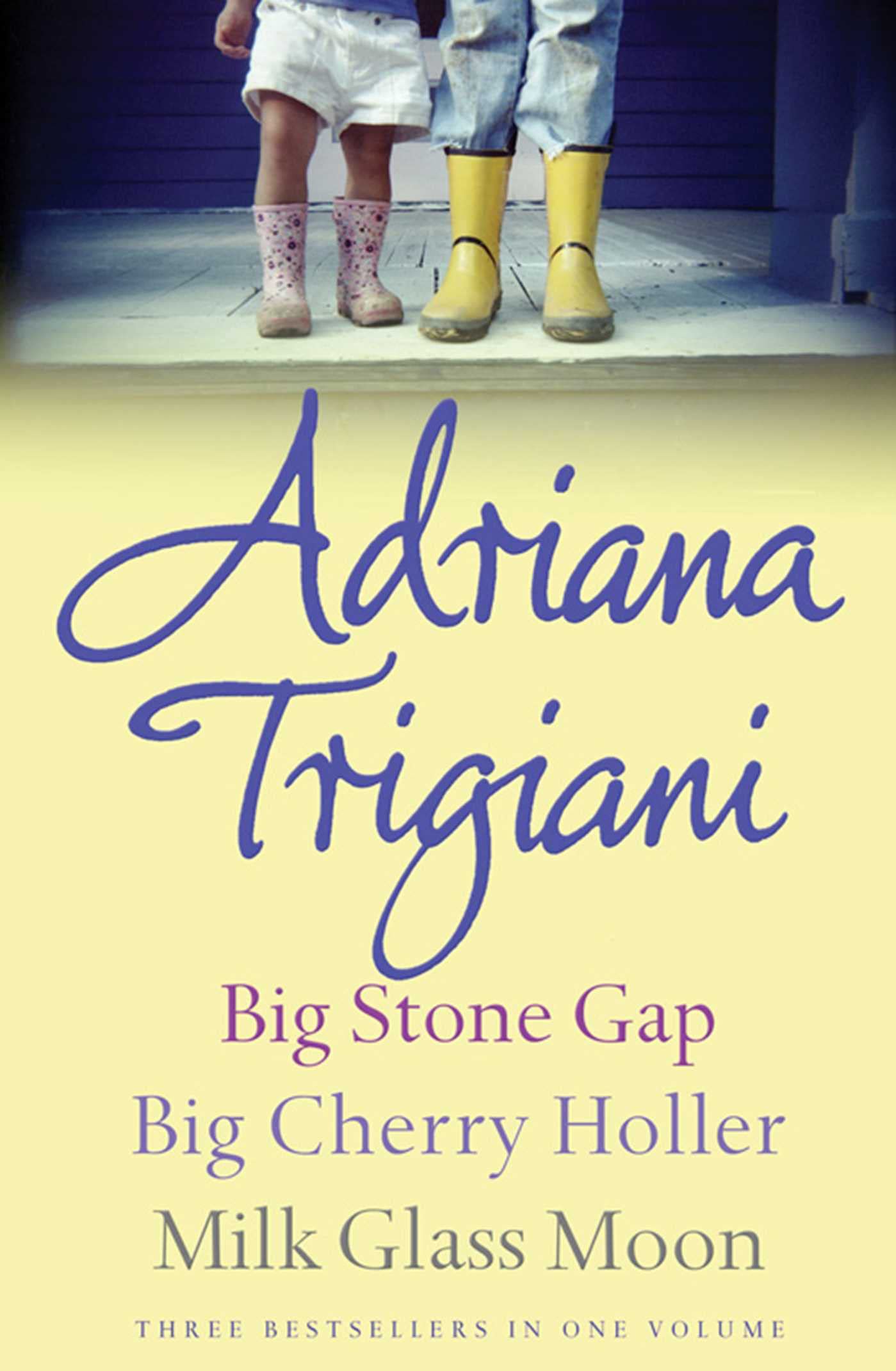 The Big Stone Gap Trilogy: Big Cherry Holler, Big Stone Gap, Milk Glass Moon Contemporary literature