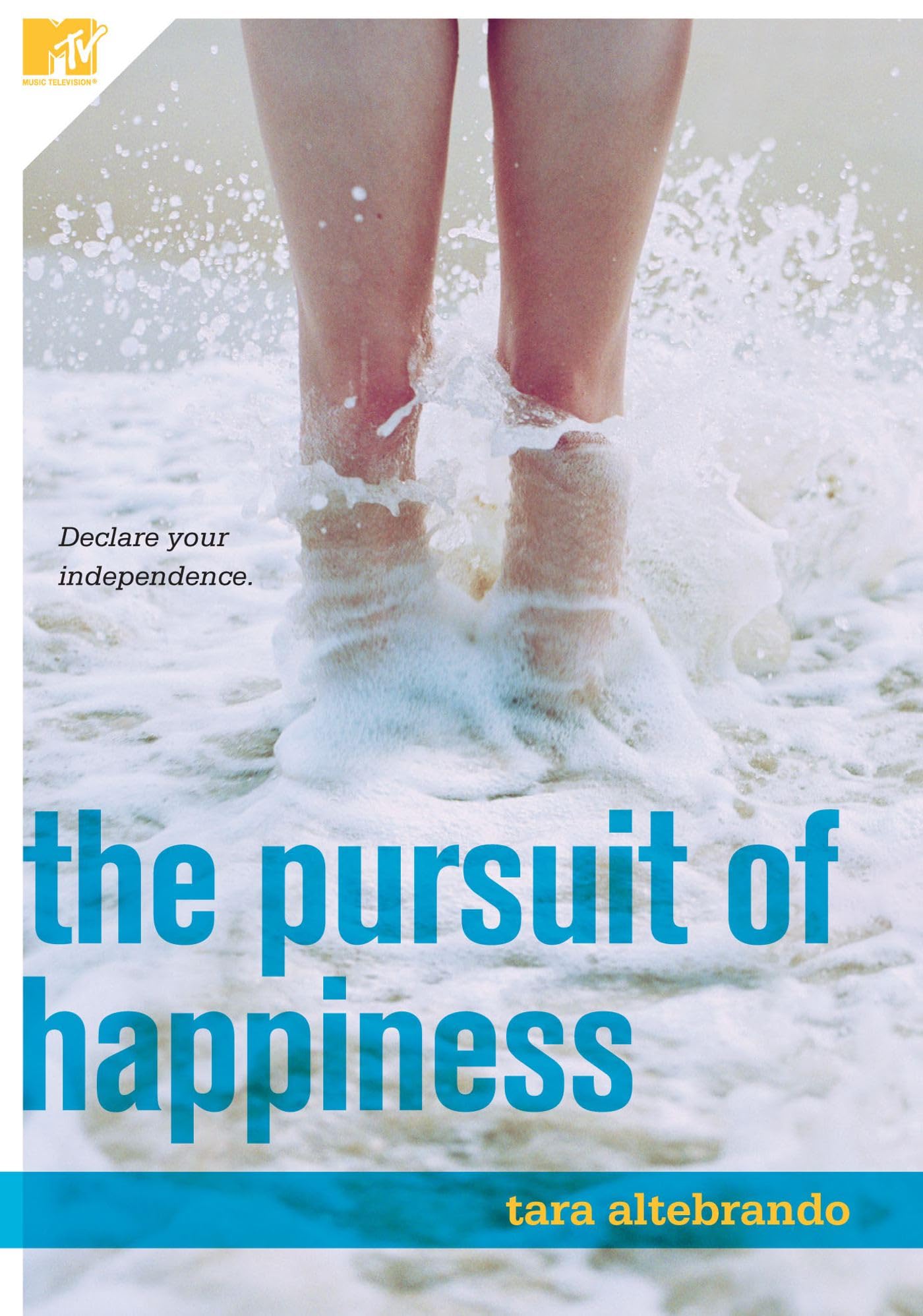 The Pursuit of Happiness book
