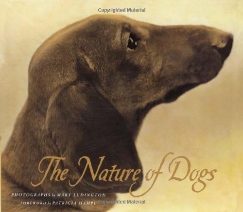 The Nature of Dogs Contemporary literature