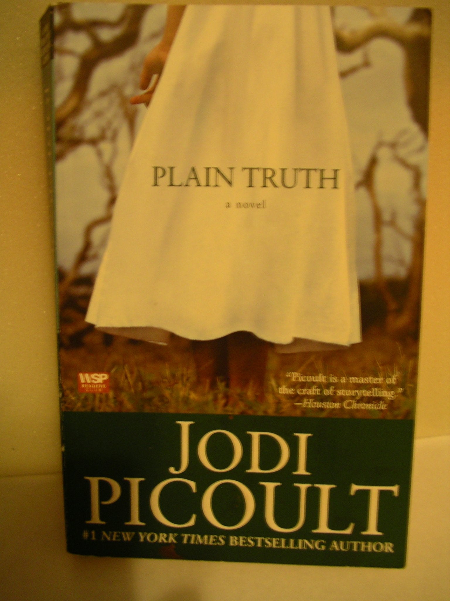 PLAIN TRUTH,THE Suspense & Thrillers
