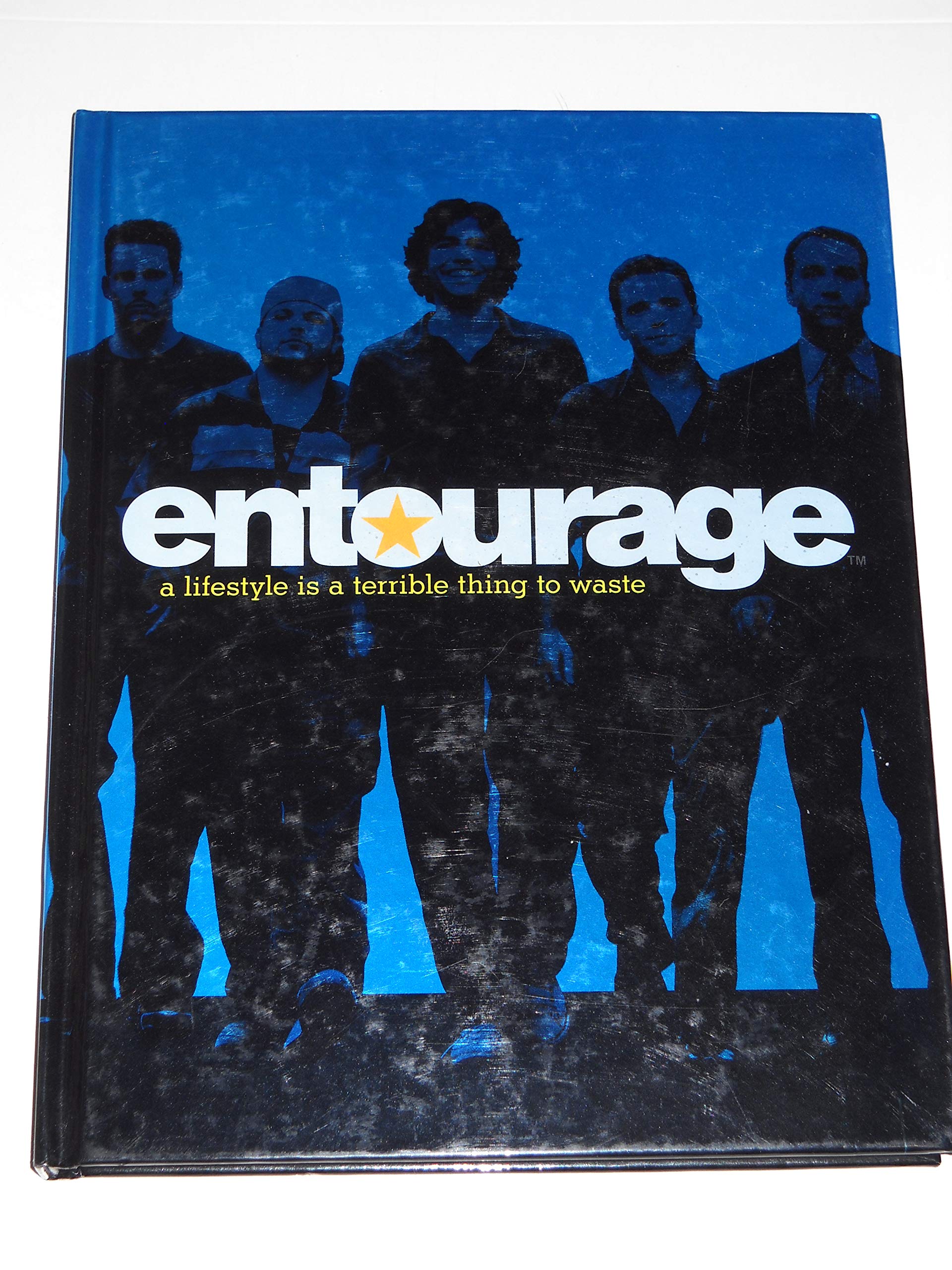 Entourage: A Lifestyle Is a Terrible Thing to Waste Contemporary literature