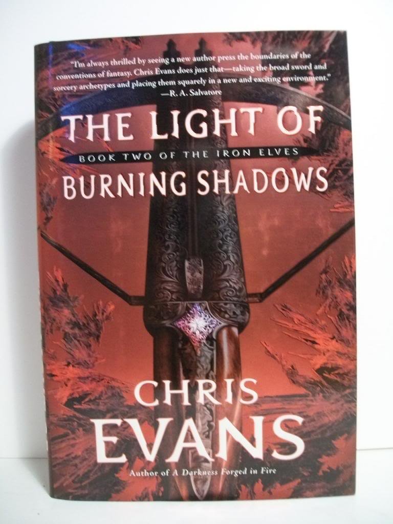 The Light of Burning Shadows Contemporary literature Books