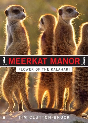 Meerkat Manor: Flower of the Kalahari Mathematics