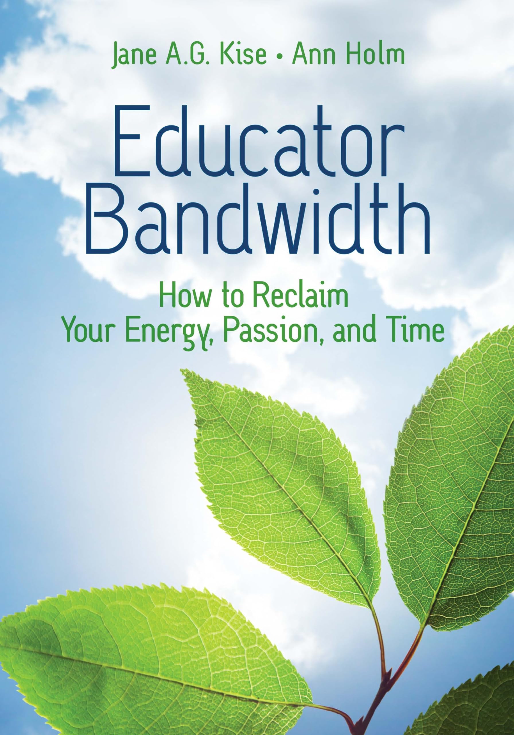 Educator Bandwidth: How to Reclaim Your Energy, Passion, and Time Business, Finance & Career