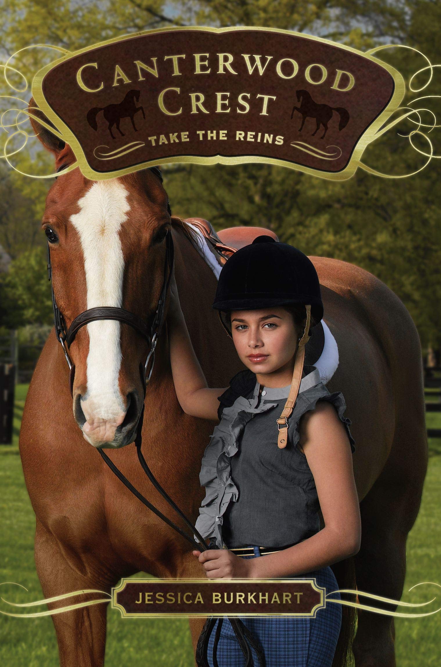 Take the Reins: Volume 1 (Canterwood Crest, Band 1) Non-fiction