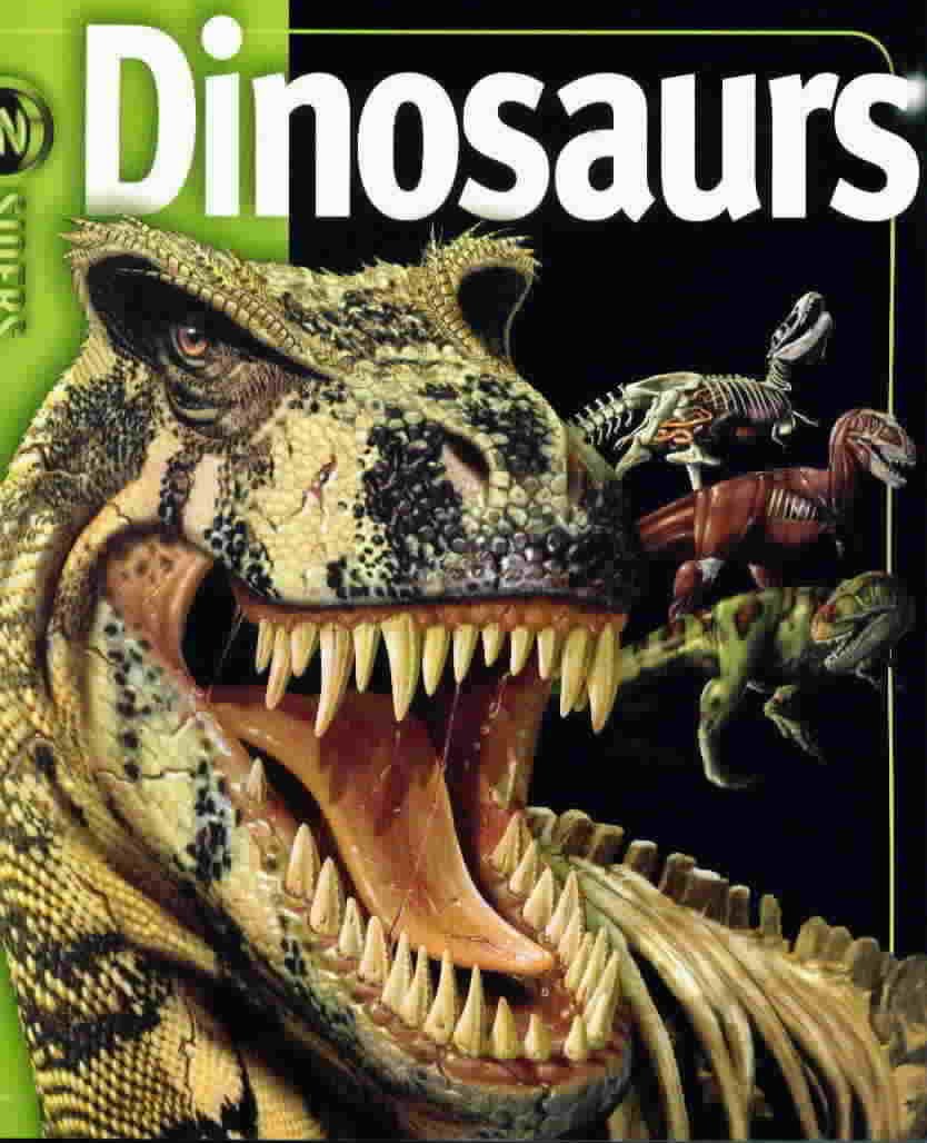 Dinosaurs in Siders Books