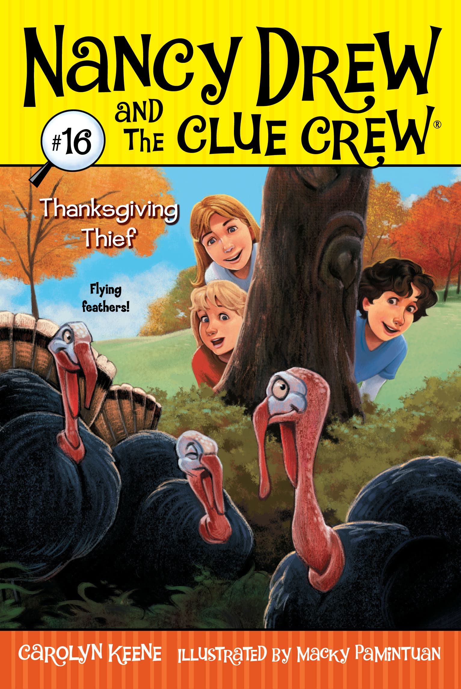 Thanksgiving Thief (Volume 16) (Nancy Drew and the Clue Crew, Band 16) Non-fiction