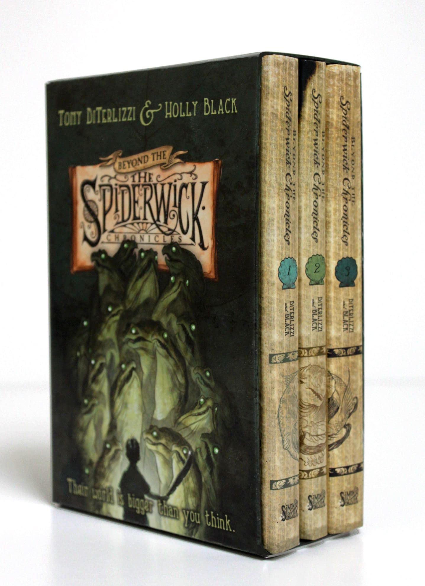 Beyond the Spiderwick Chronicles (Boxed Set): The Nixies Song; A Giant Problem; The Wyrm King Non-fiction