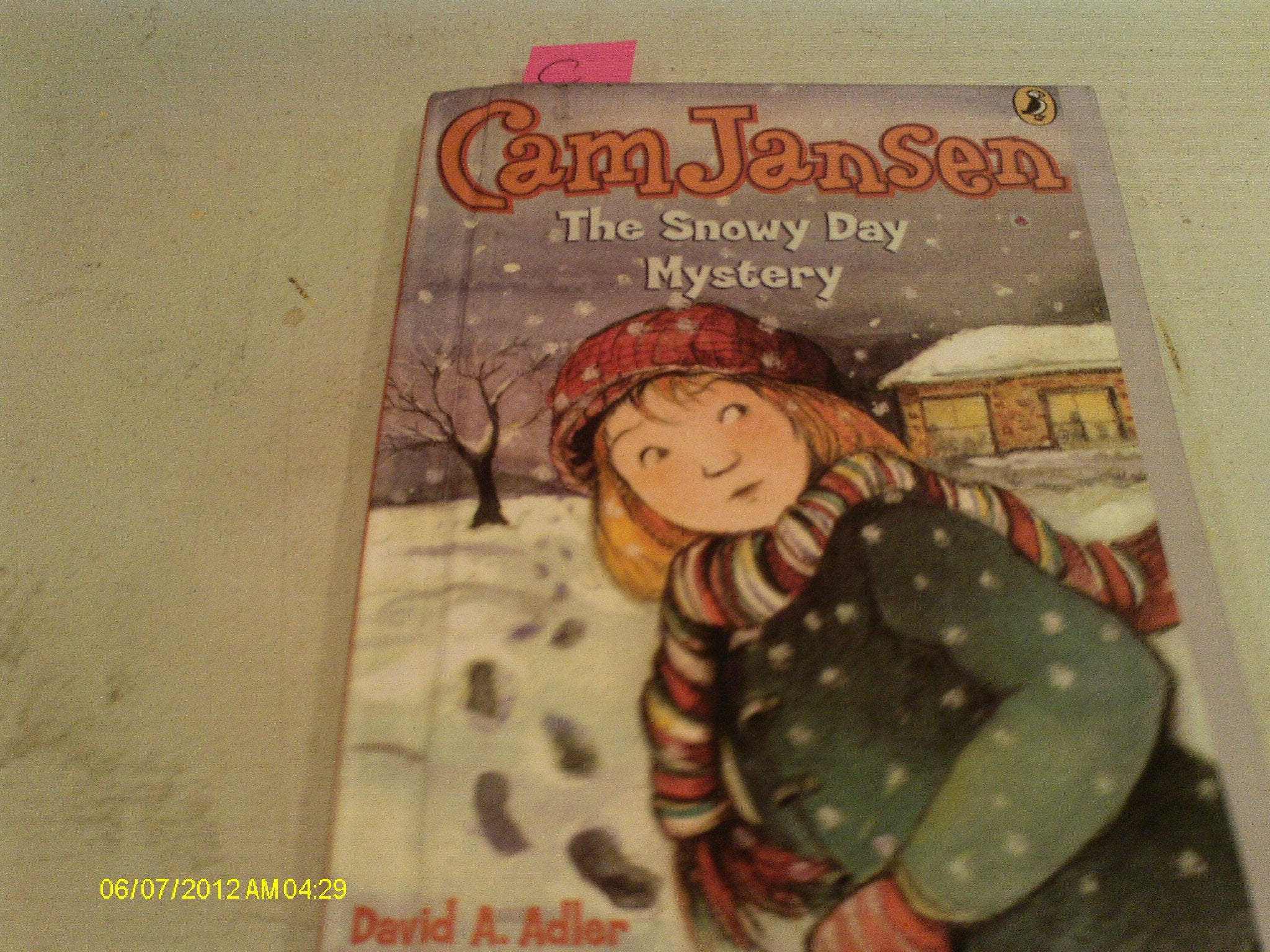 Cam Jansen and the Snowy Day Mystery (Cam Jansen Adventure) Novels & Short Stories