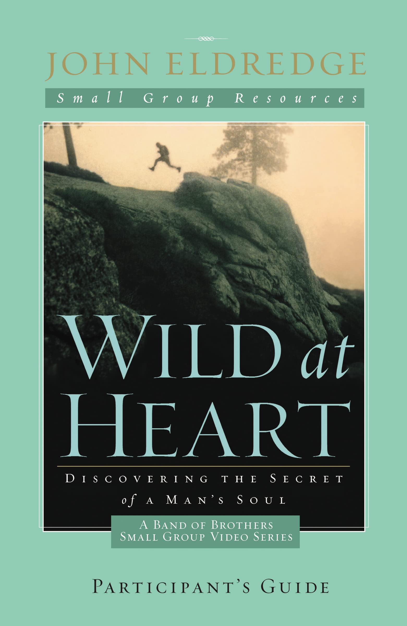 Wild at Heart: A Band of Brothers Small Group Participant's Guide: A Personal Guide to Discover the Secret of Your Masculine Soul (Small Group Resources) Social Sciences