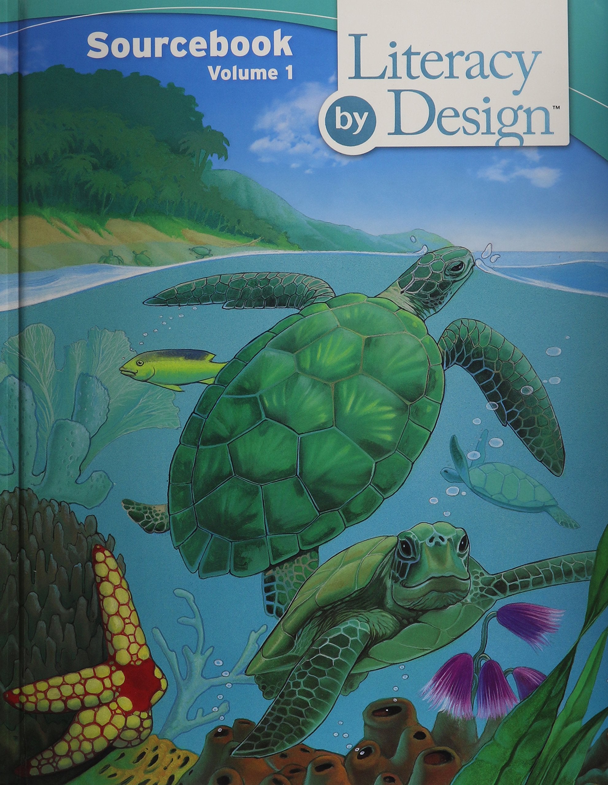 Literacy by Design: Source Book Volume 1 Grade 3: Grade 3 # 1 (Rigby Literacy by Design, Band 1) Film, Art & Culture