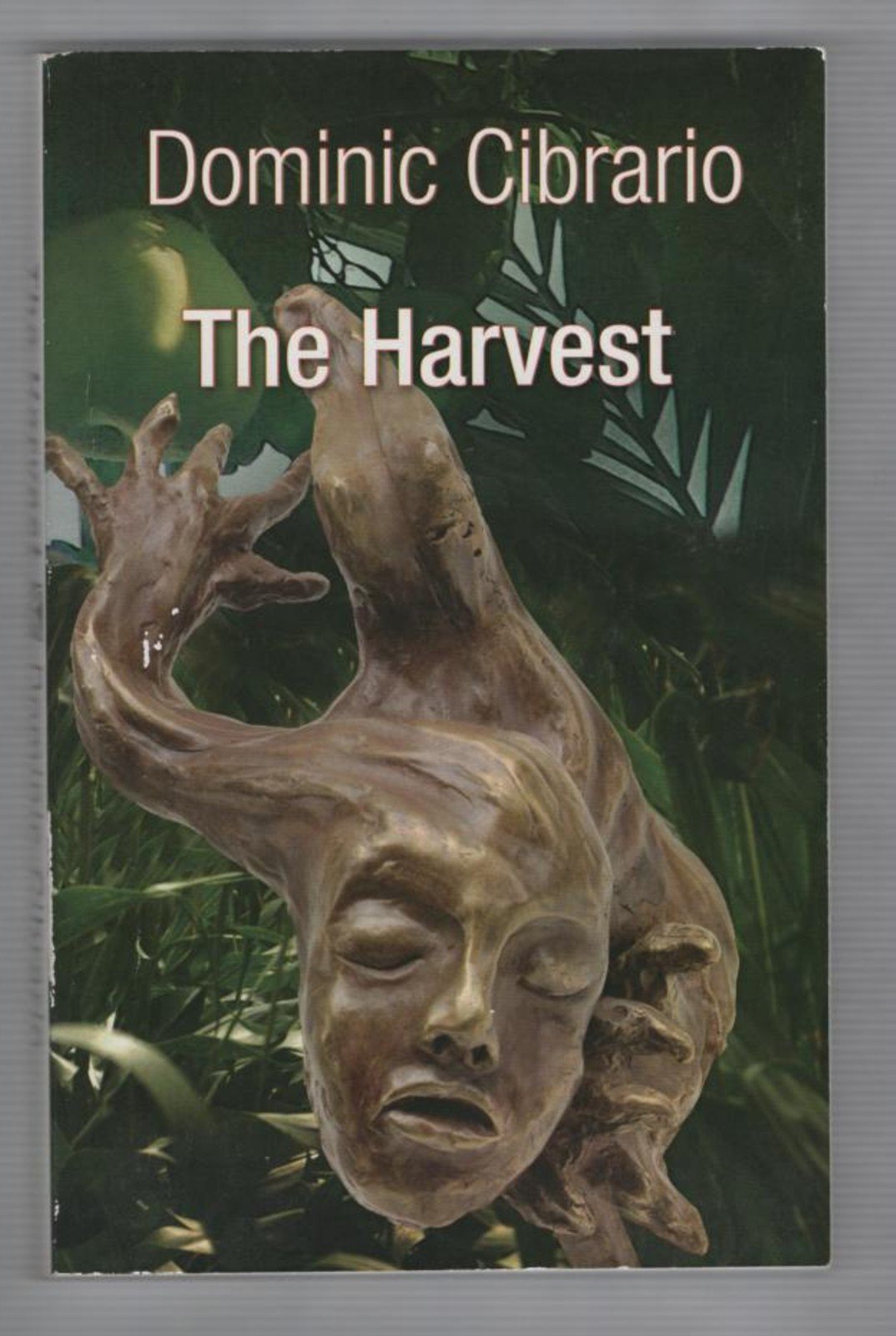The Harvest: The Garden of Kathmandu Trilogy Contemporary literature