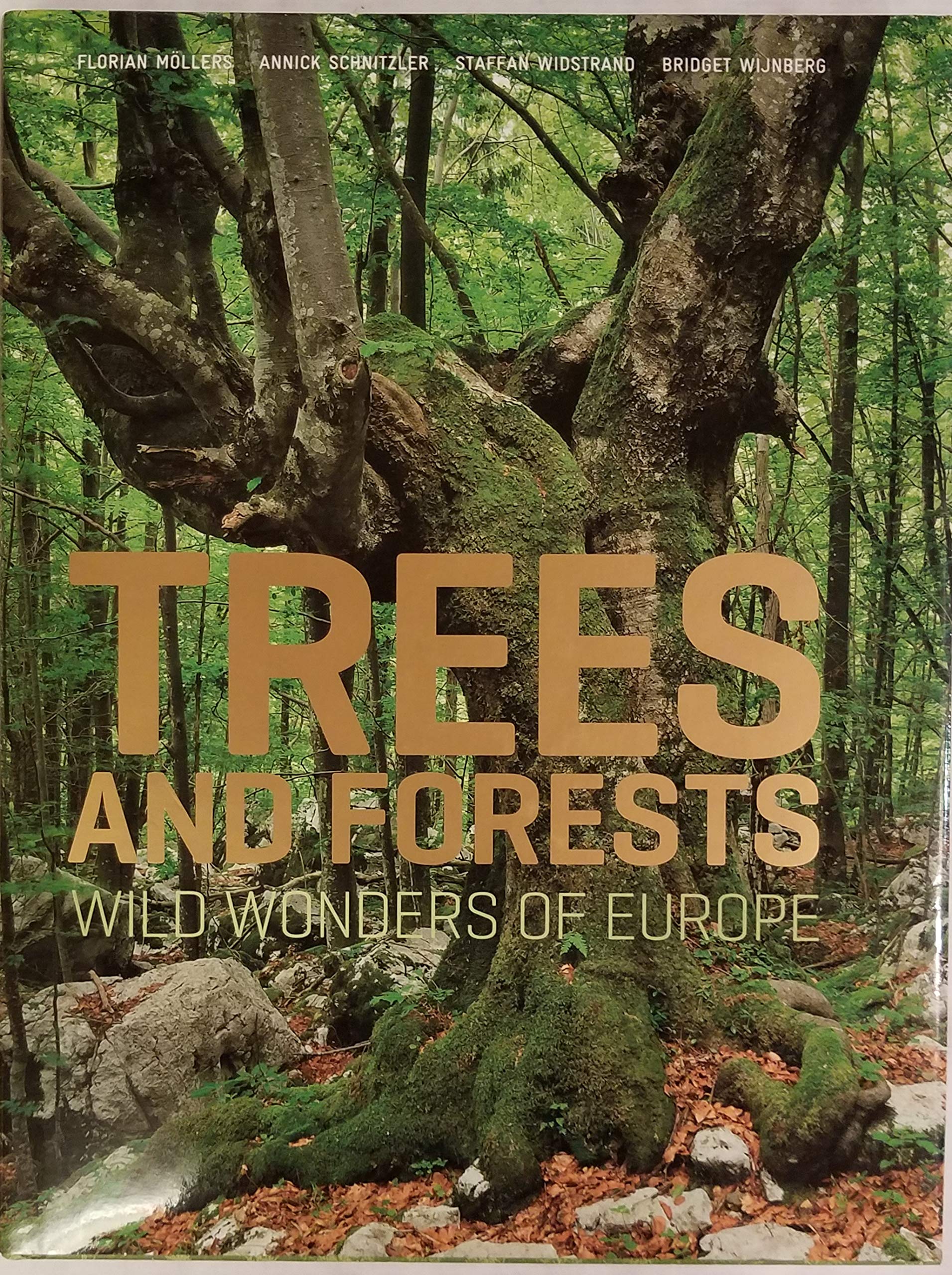 Trees and Forests: Wild Wonders of Europe Travel