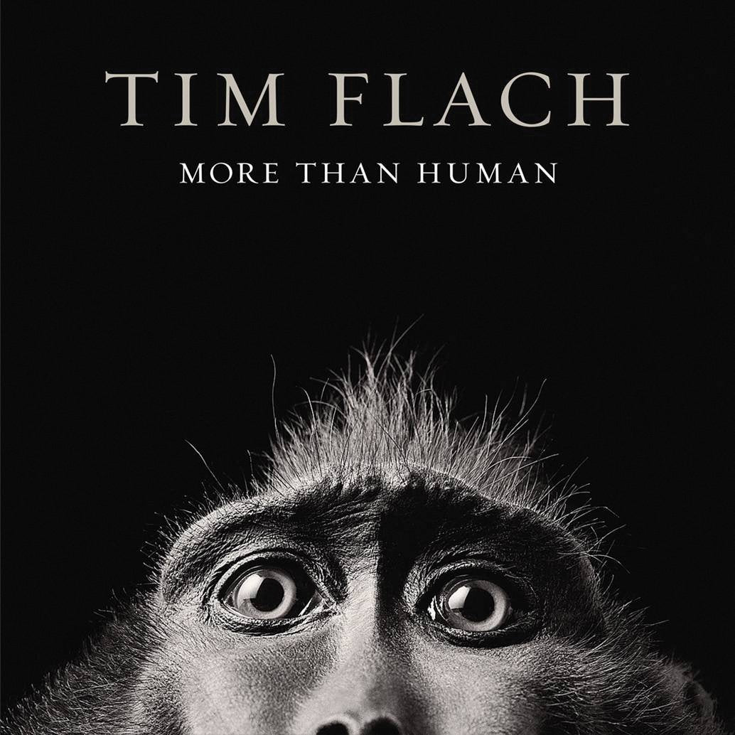 More Than Human: Tim Flach (E) Mathematics