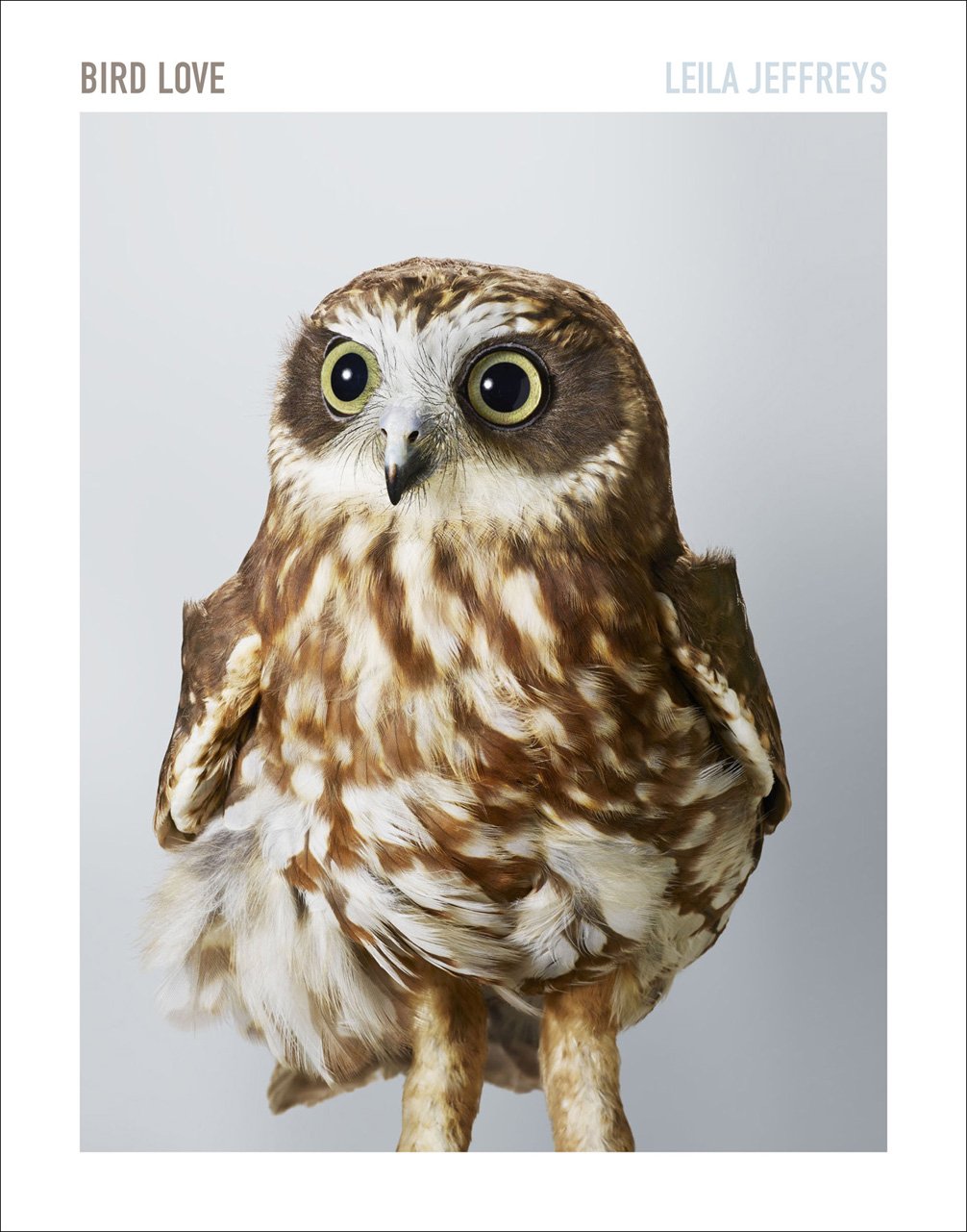 Bird Love: A Photography Book Travel
