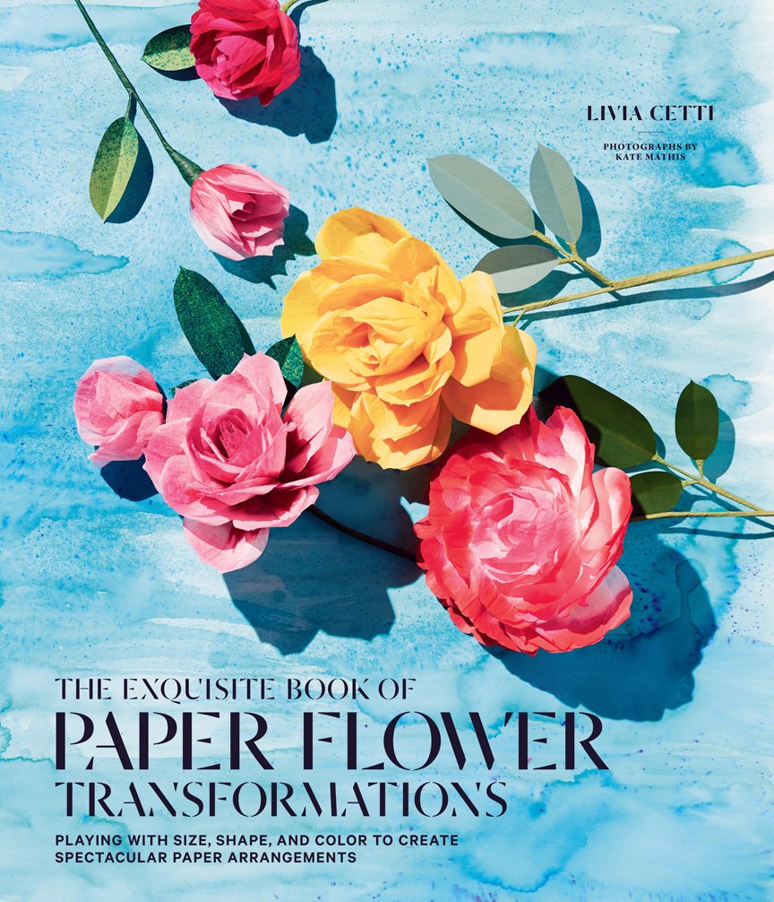 Exquisite Book of Paper Flower Transformations Hobbies & Crafts